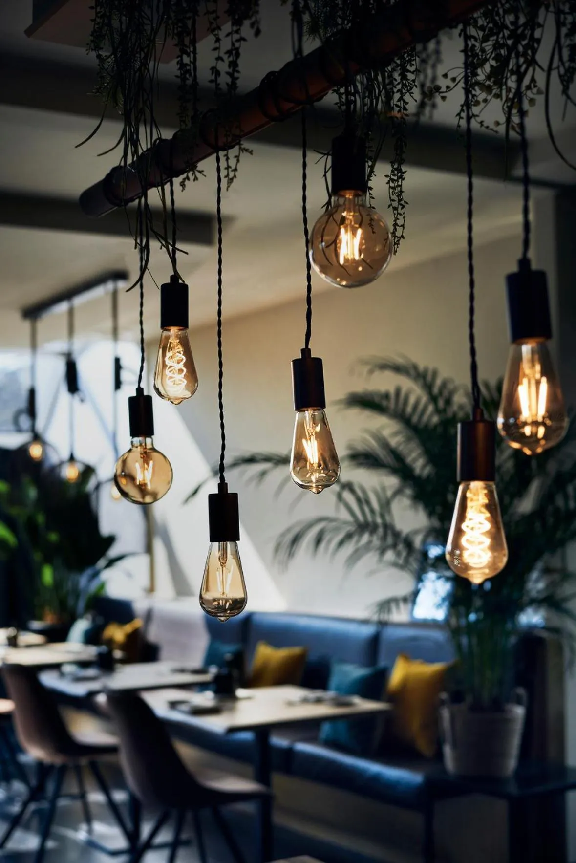 Restaurant/places to eat in Hotel Zuid