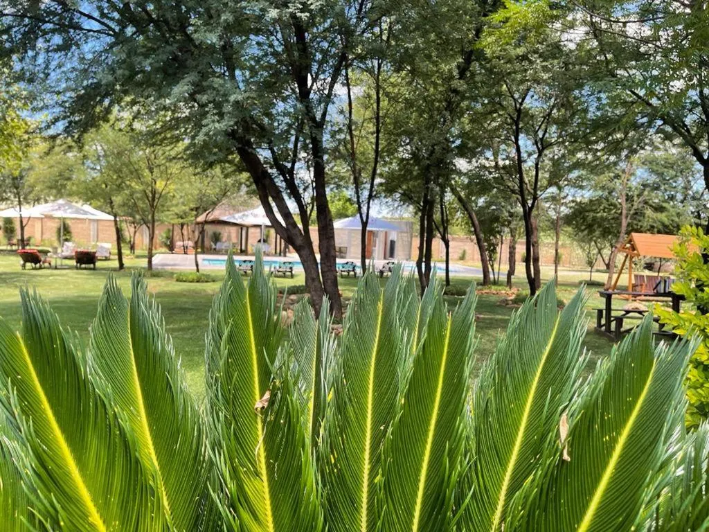 Garden in TshiBerry Bed & Breakfast