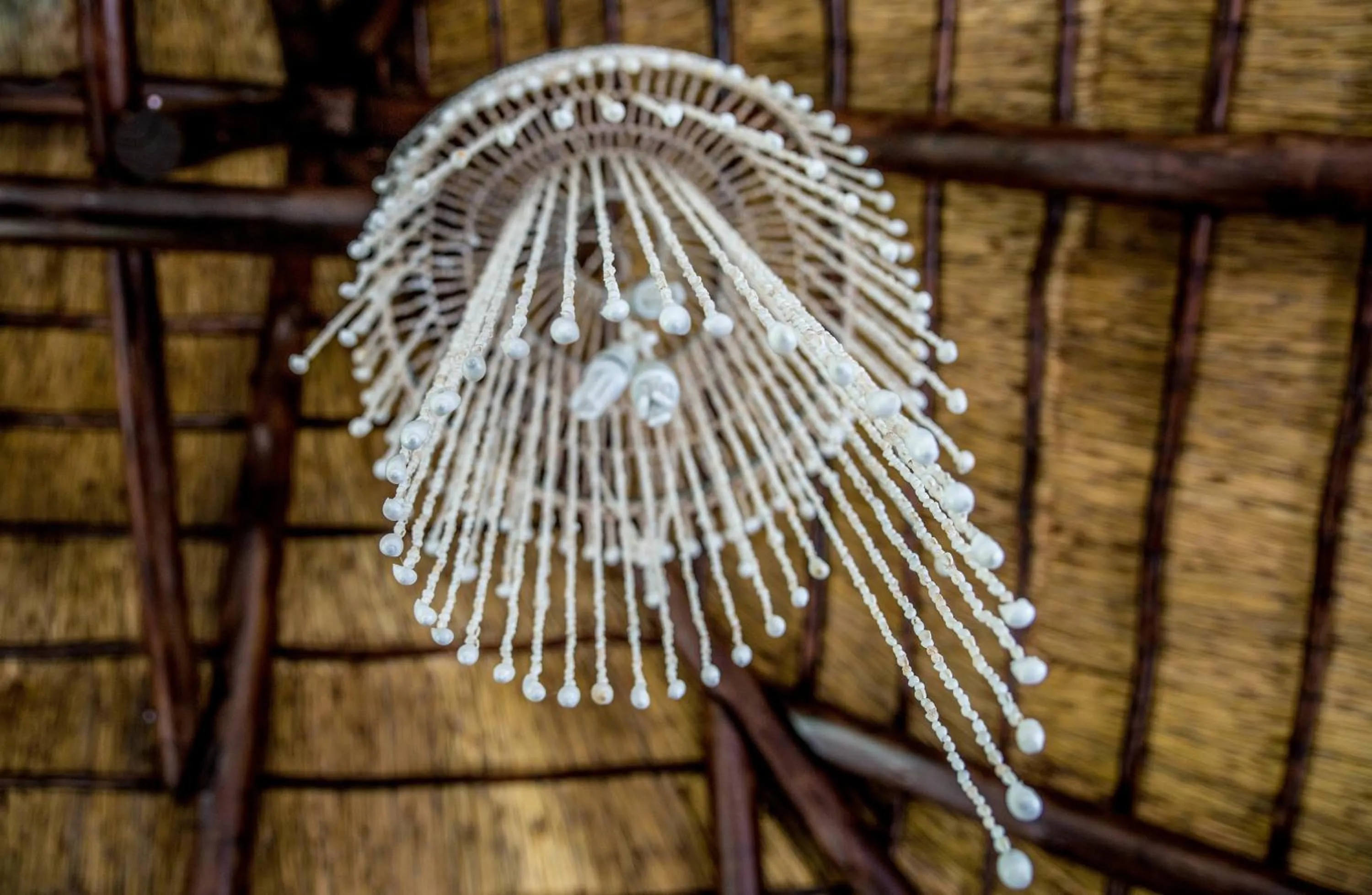 Decorative detail in TshiBerry Bed & Breakfast