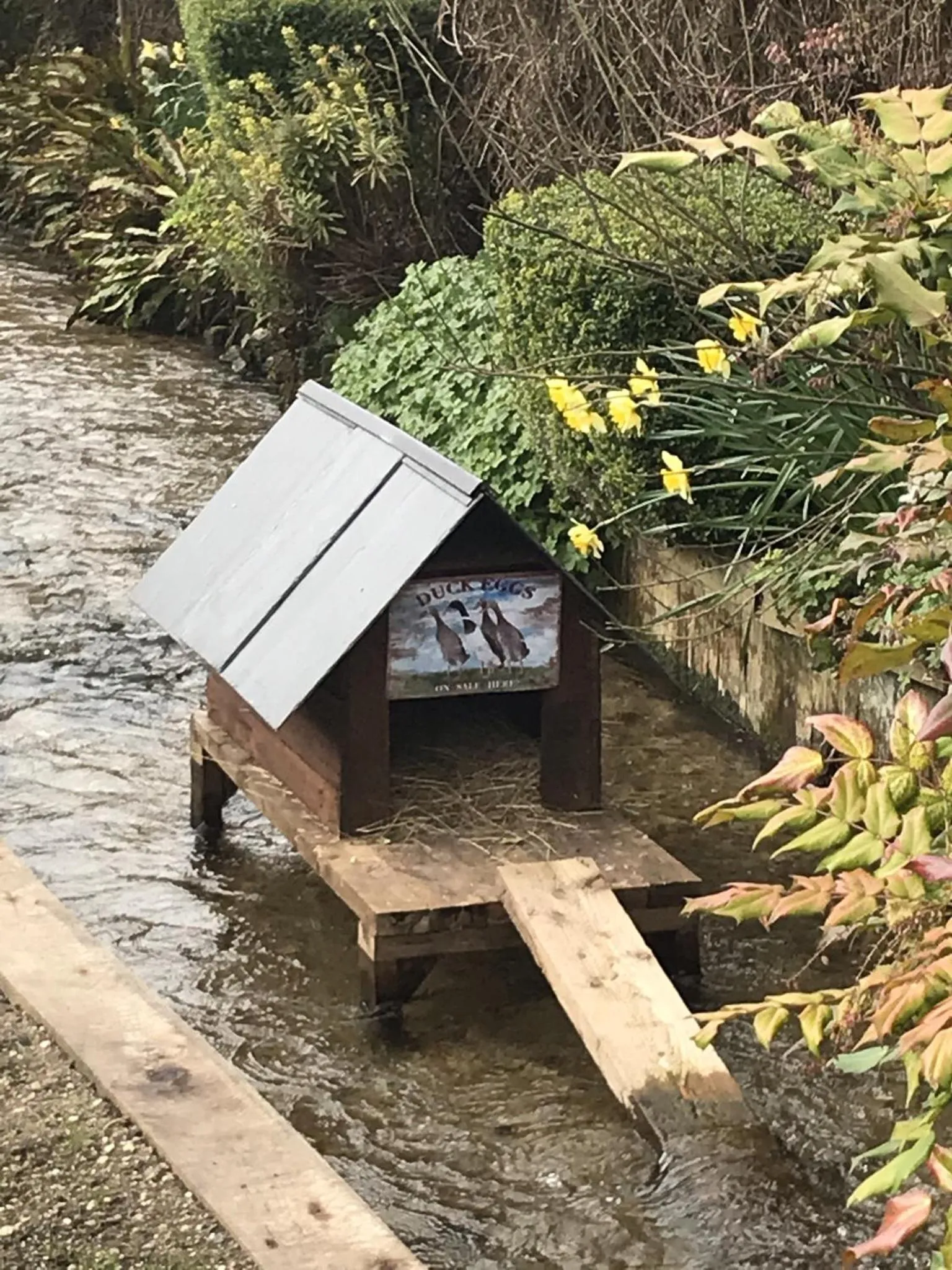 Natural landscape in The Three Cups Inn
