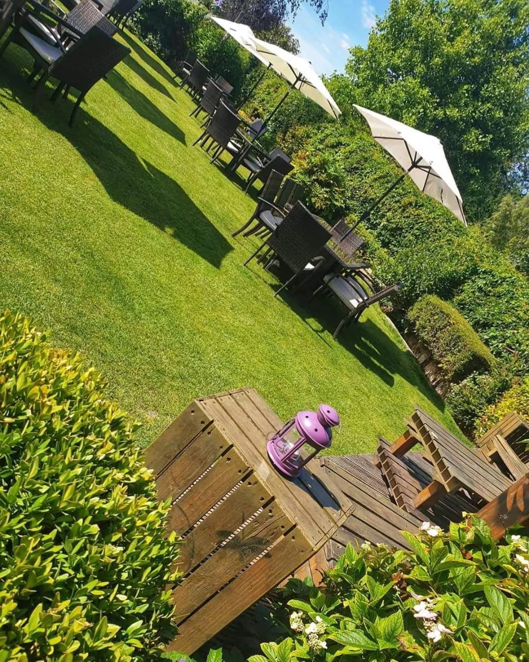 Garden in The Three Cups Inn