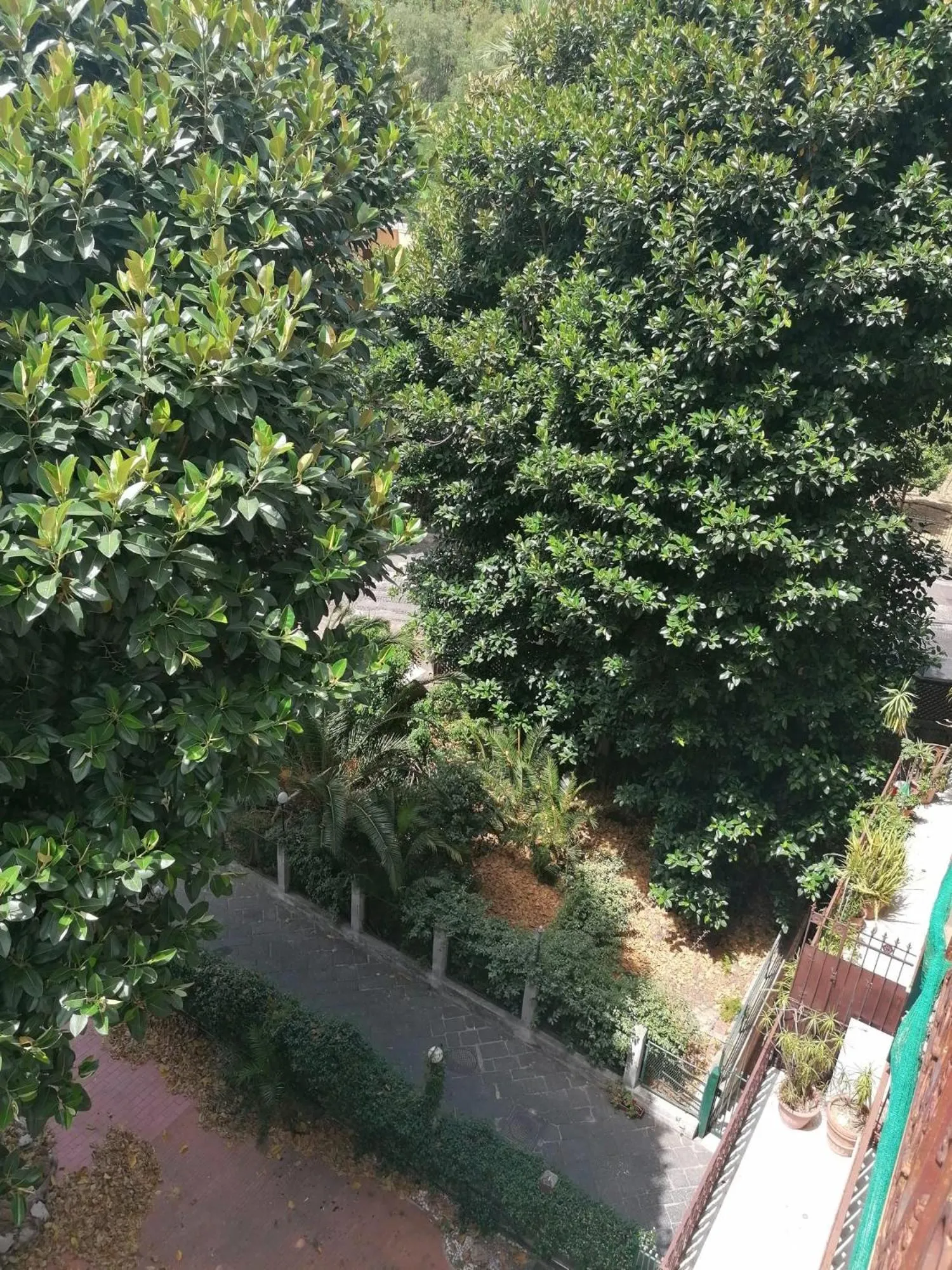 View (from property/room) in Amedeo Square