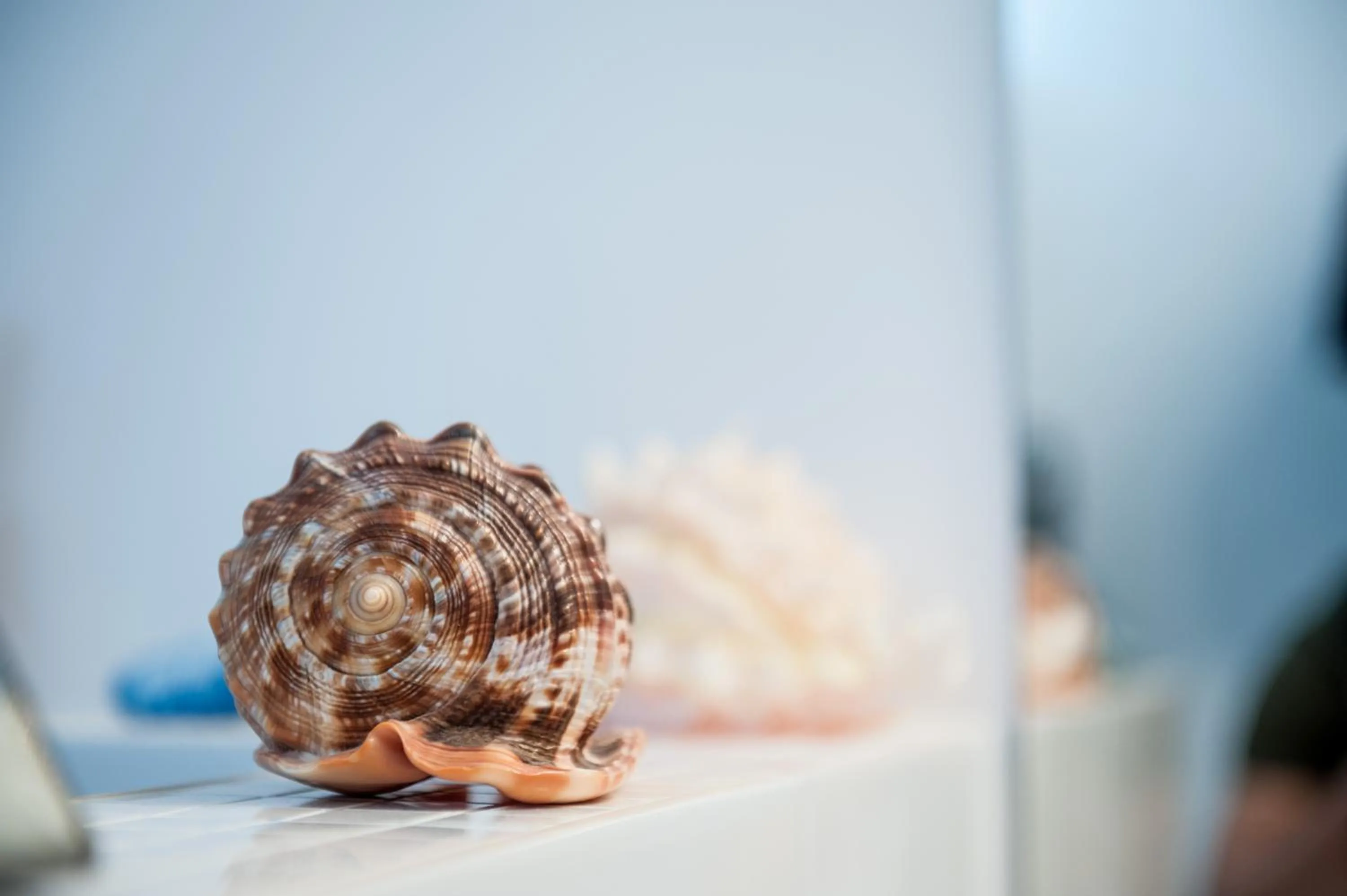 Bathroom in White Dream Suites