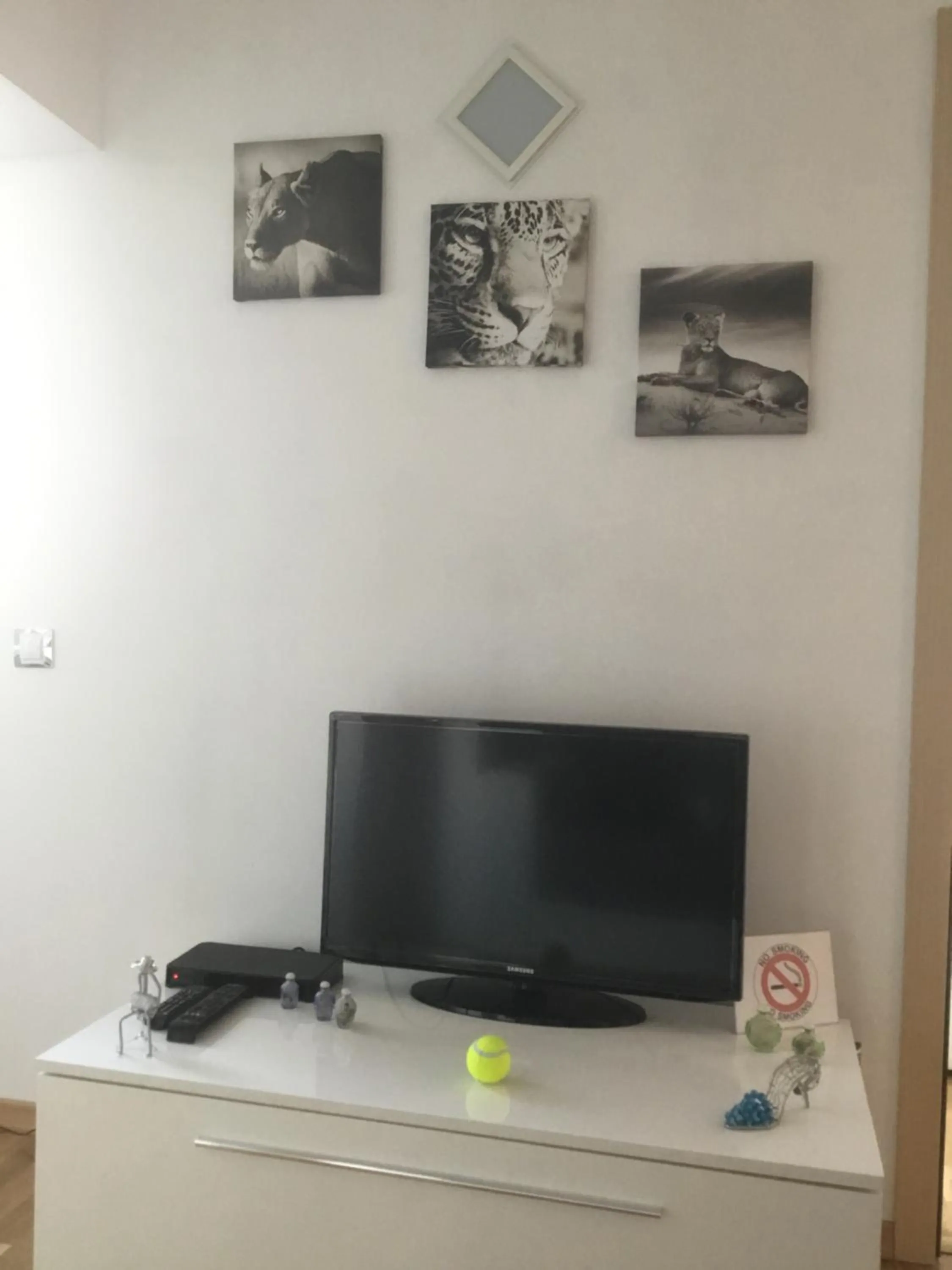 TV and multimedia in White Dream Suites