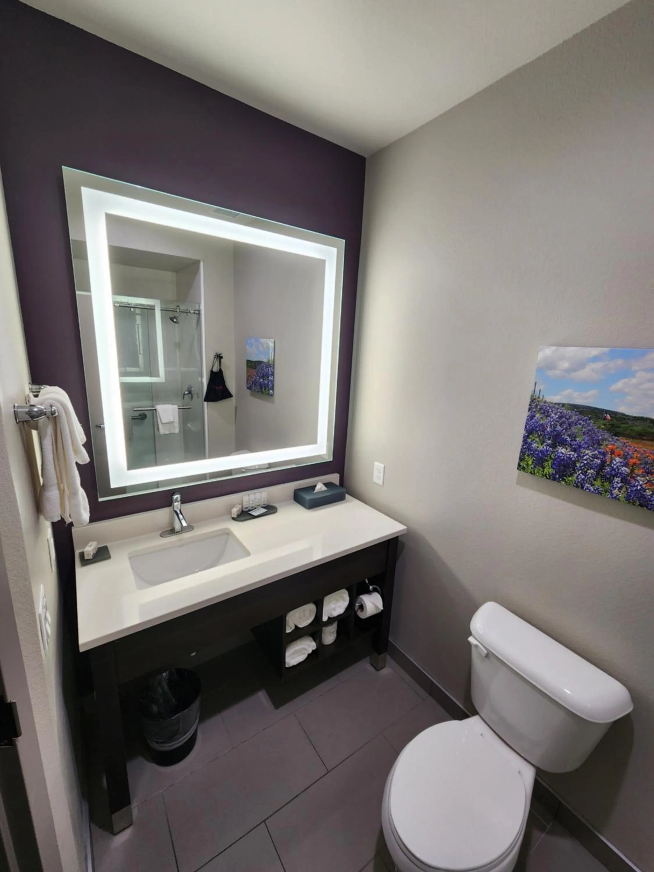 La Quinta by Wyndham Houston Cypress