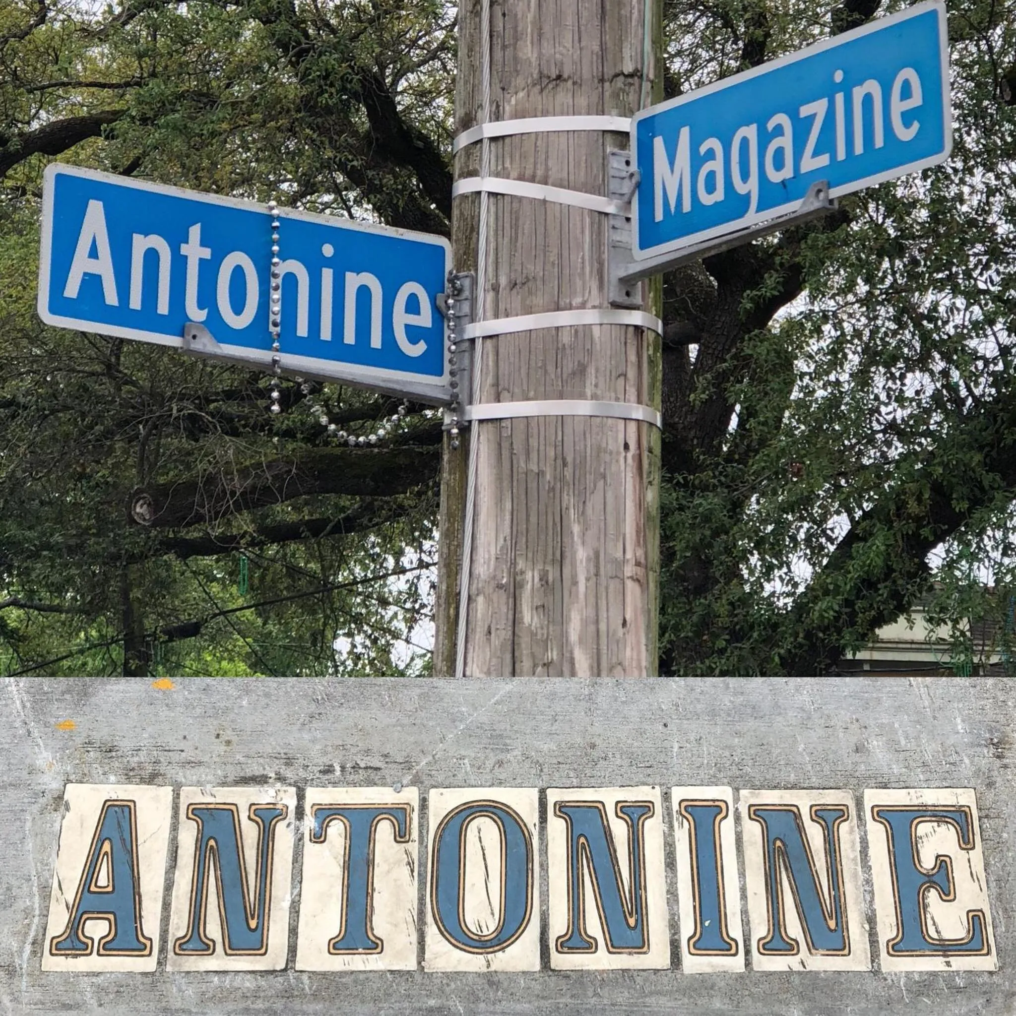 Nearby landmark in Creole Cottage Uptown