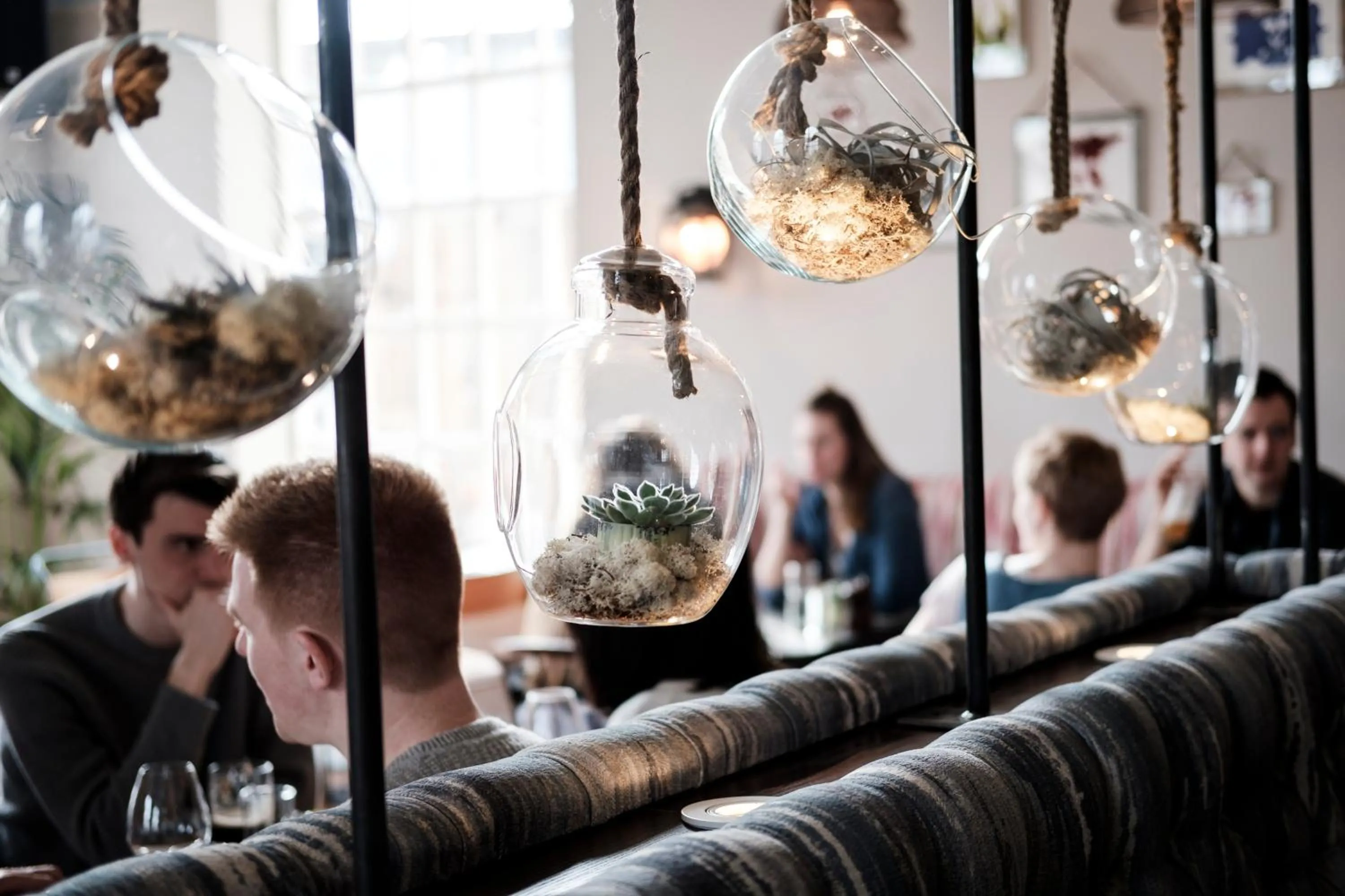 Restaurant/places to eat in Half Moon