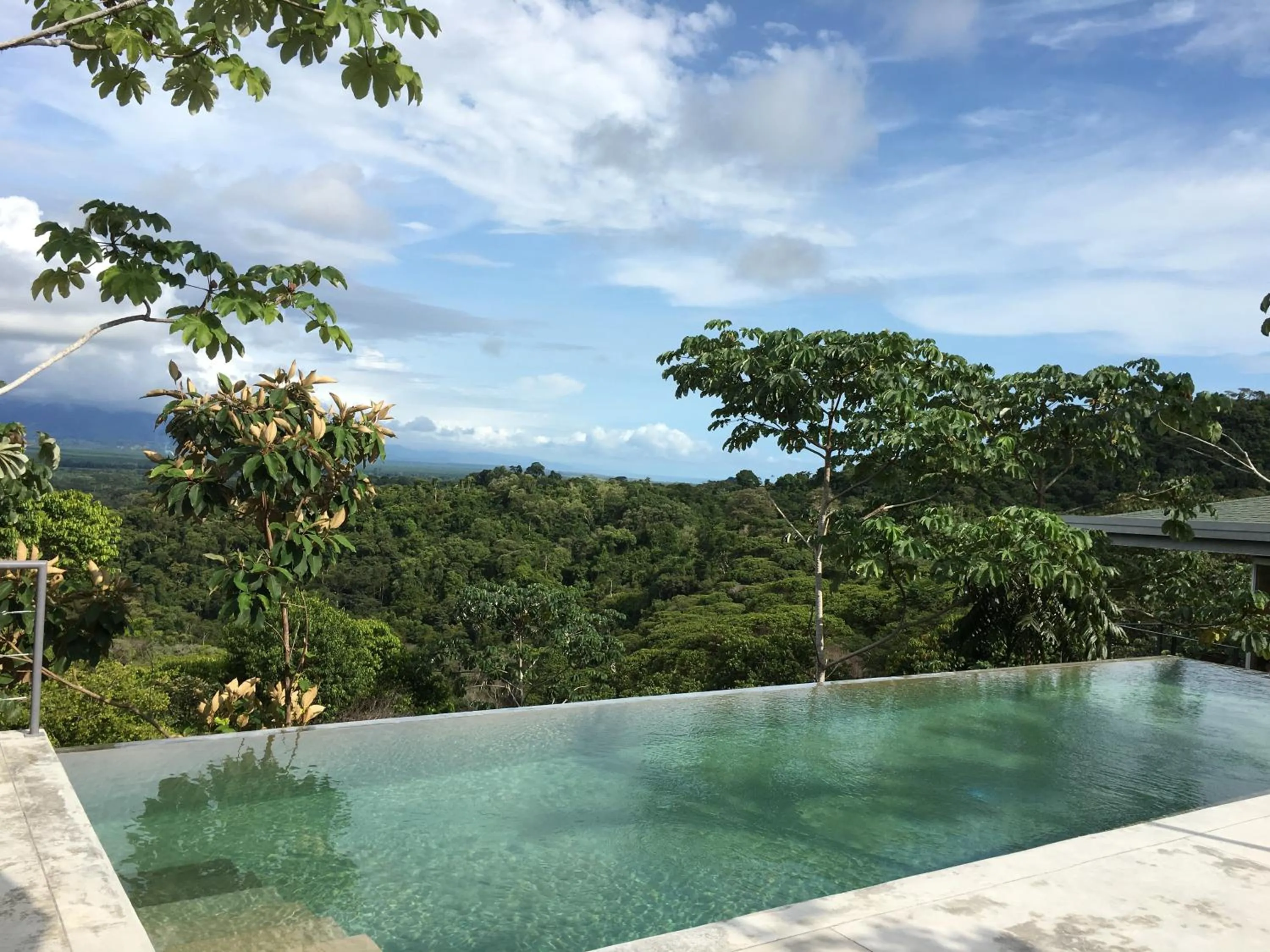 Garden view in Casa Libertinn