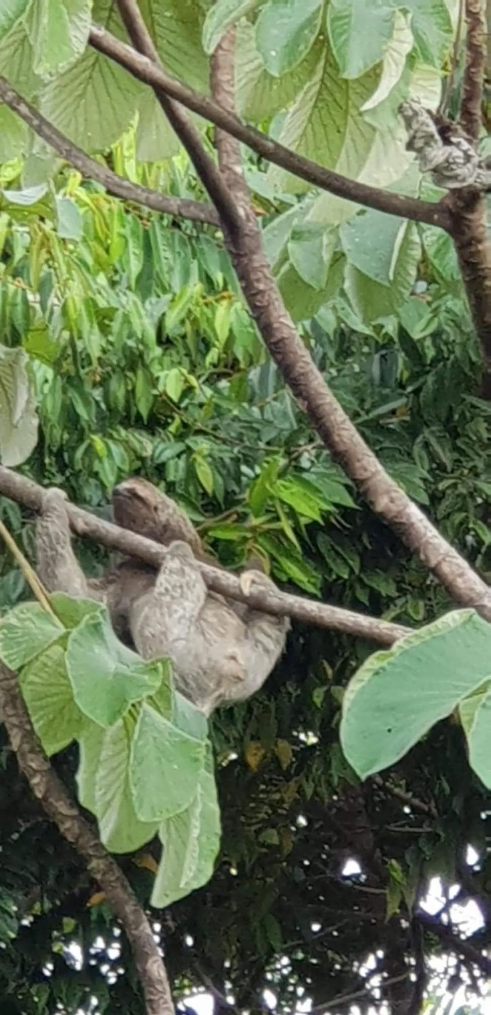 Natural landscape in Casa Libertinn