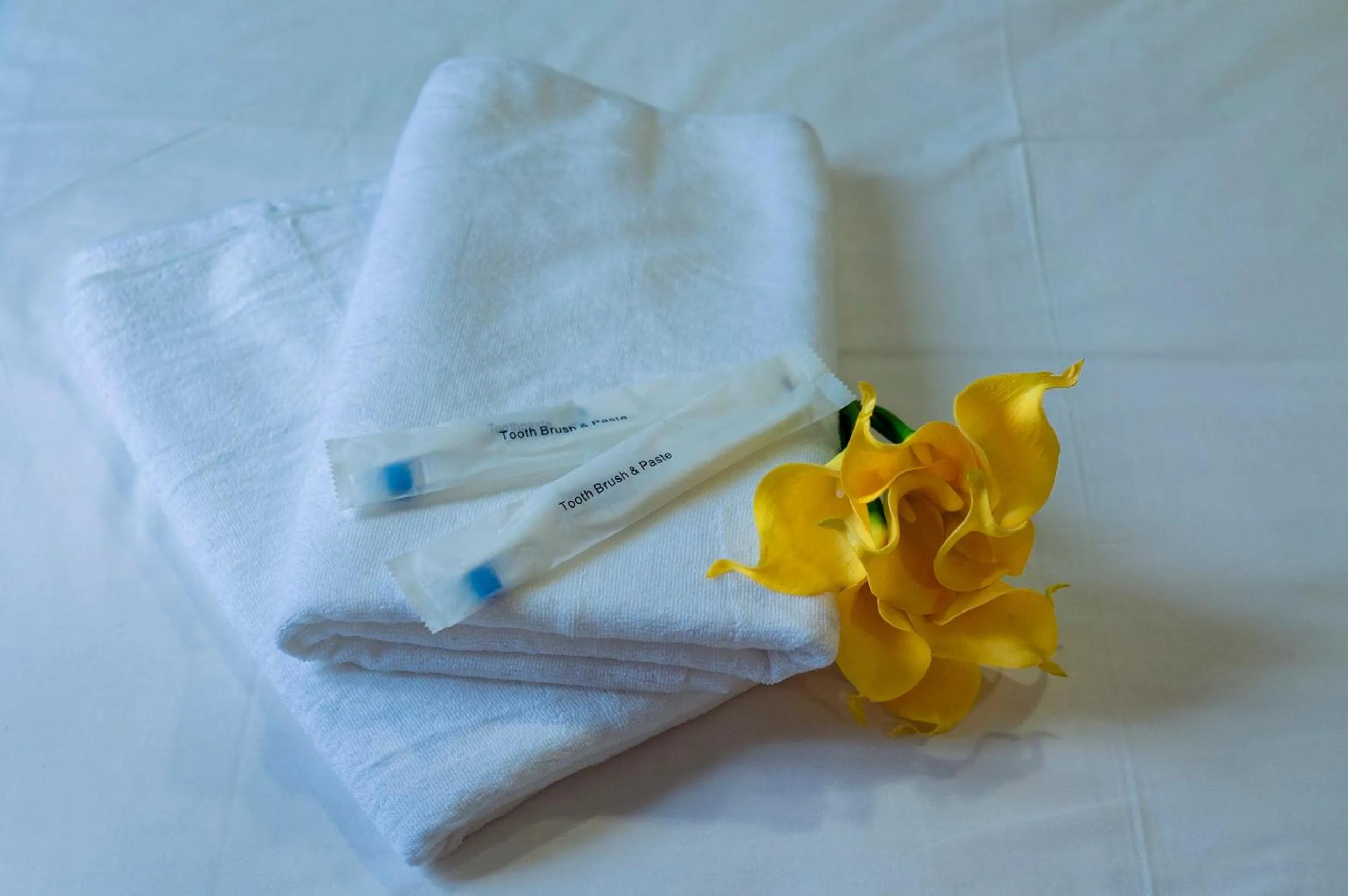 Shower in LightHouse Hotel & ShortStay @ Damansara Uptown