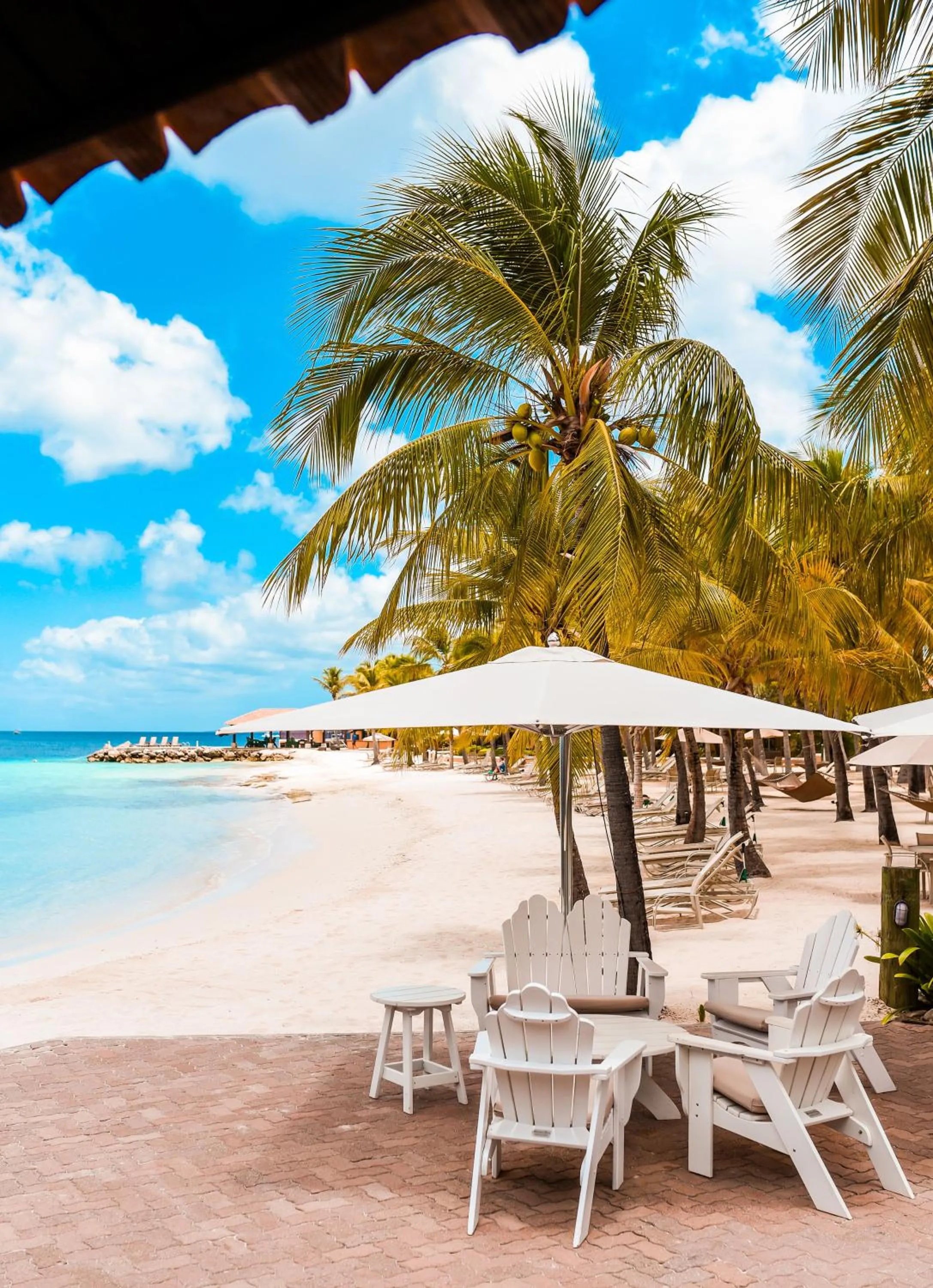 Restaurant/places to eat in Harbour Village Beach Club