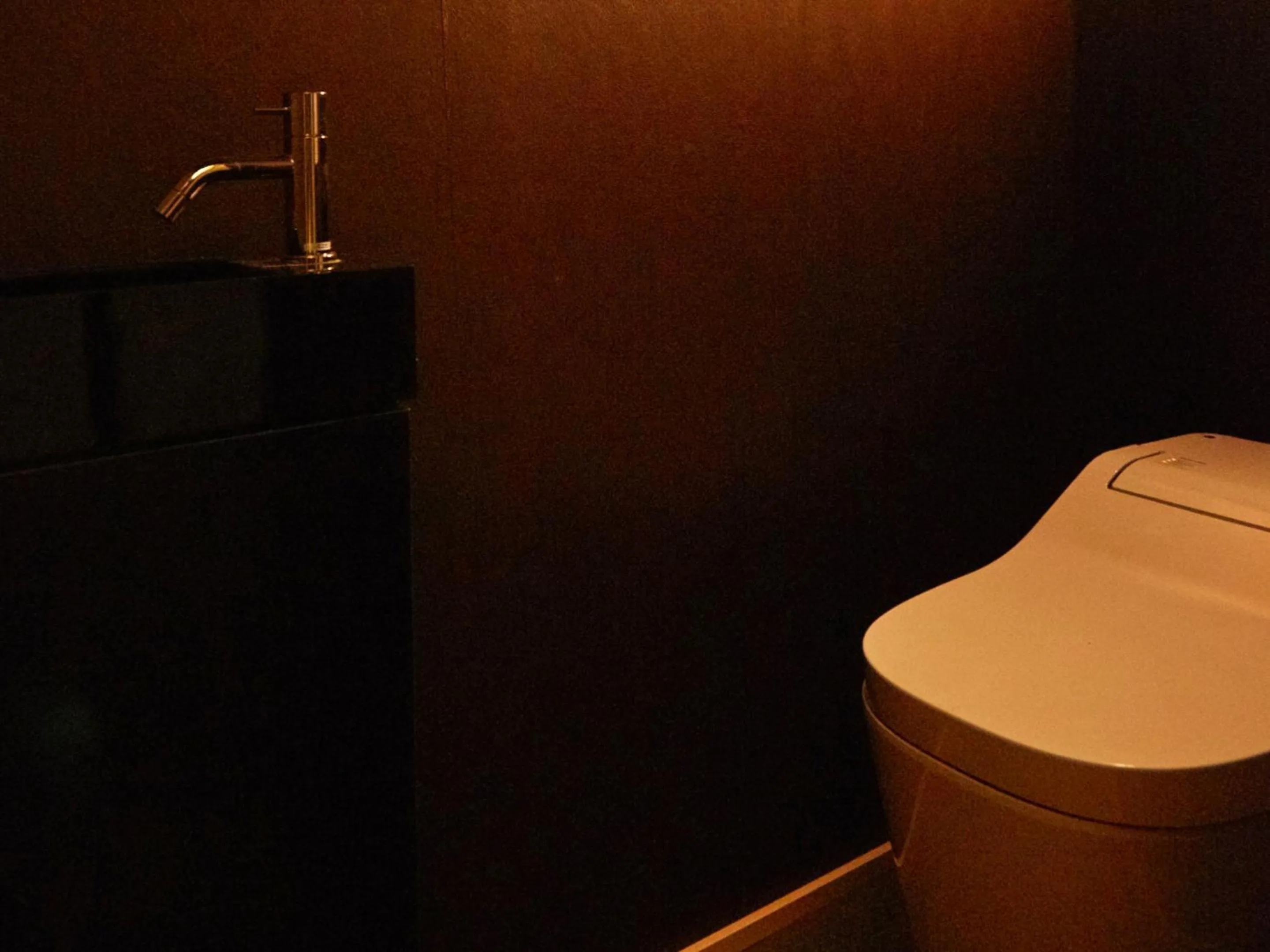 Toilet in sakainoma hotel 熊