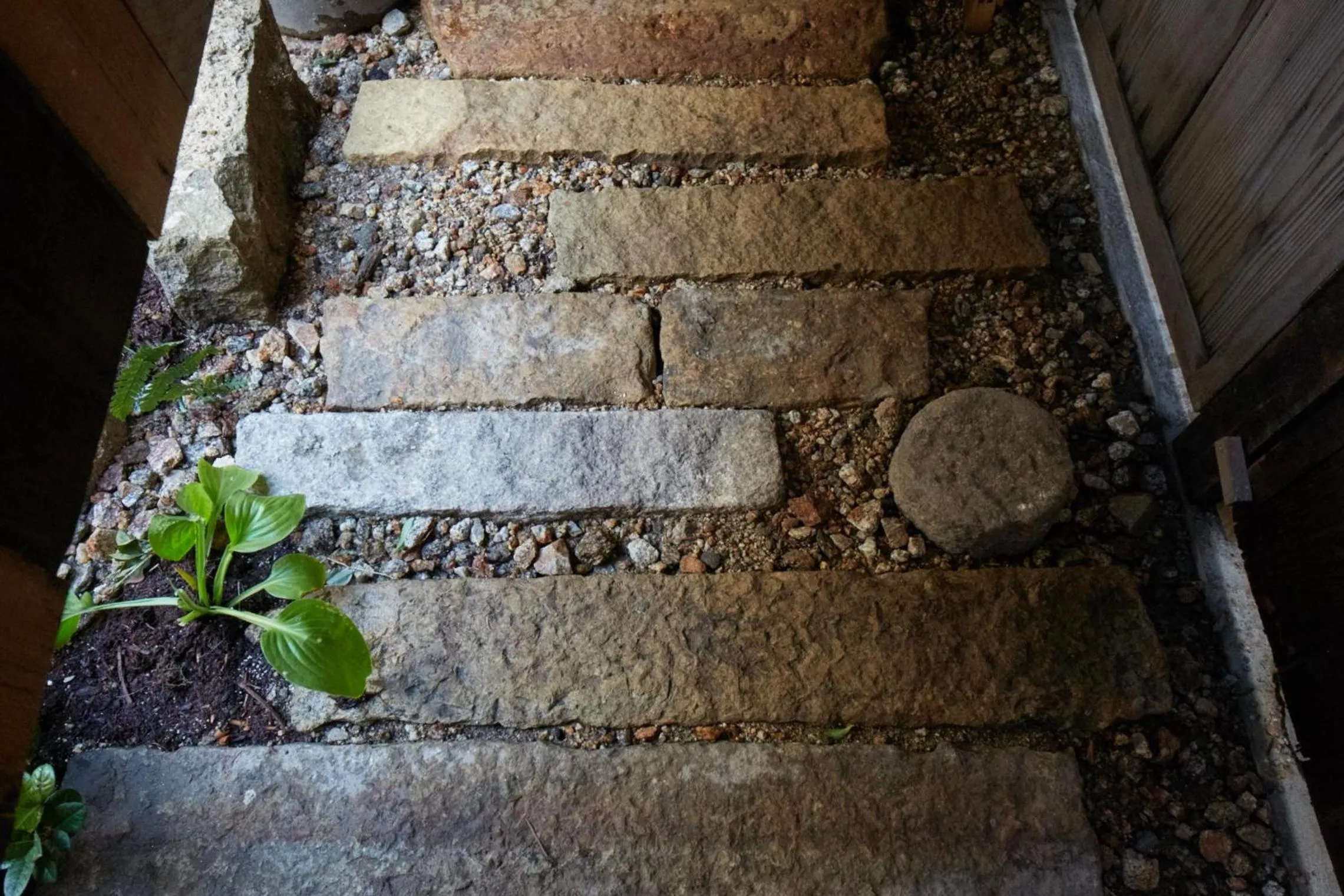 Area and facilities in sakainoma hotel 熊