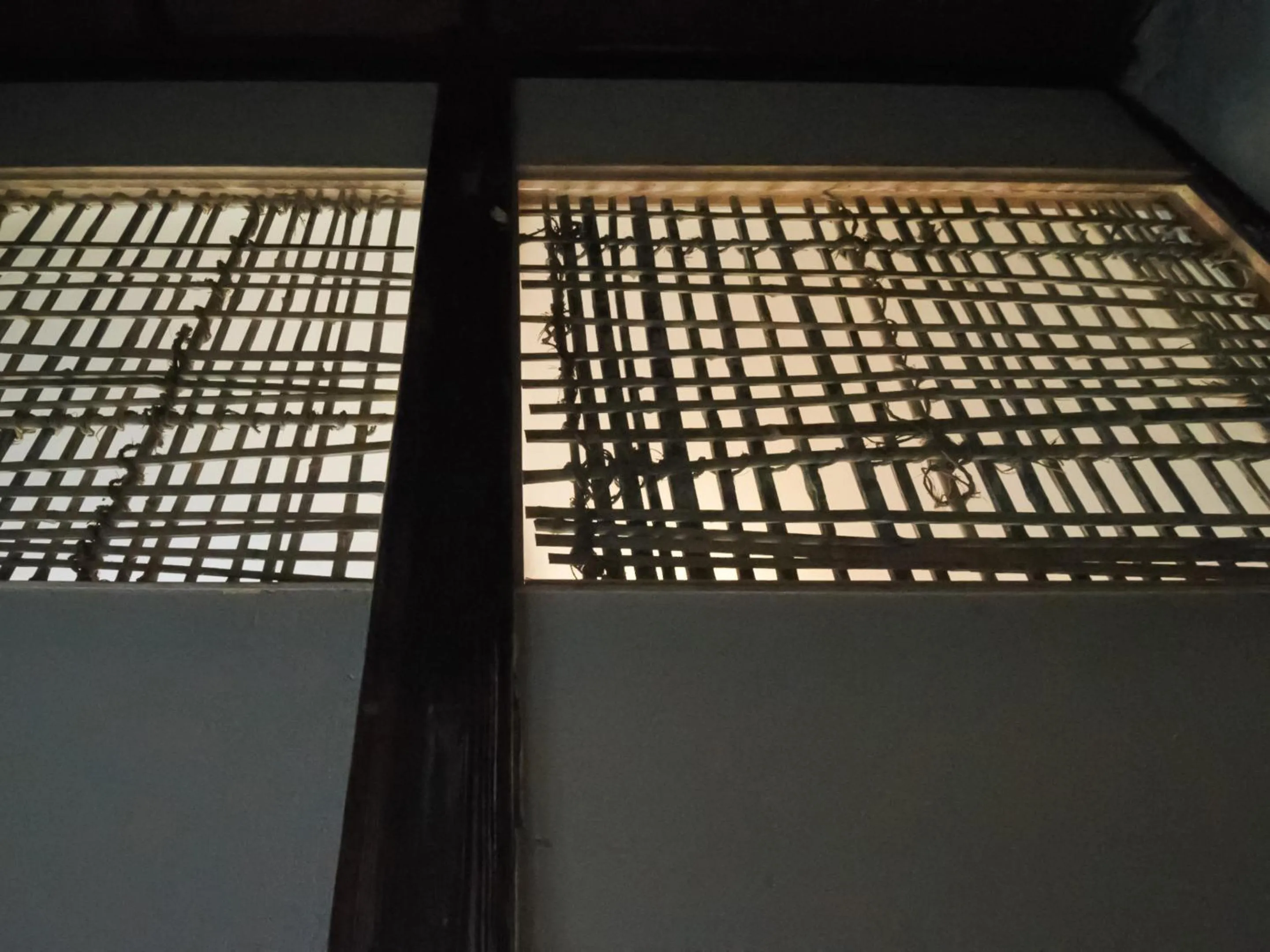 Area and facilities in sakainoma hotel 熊