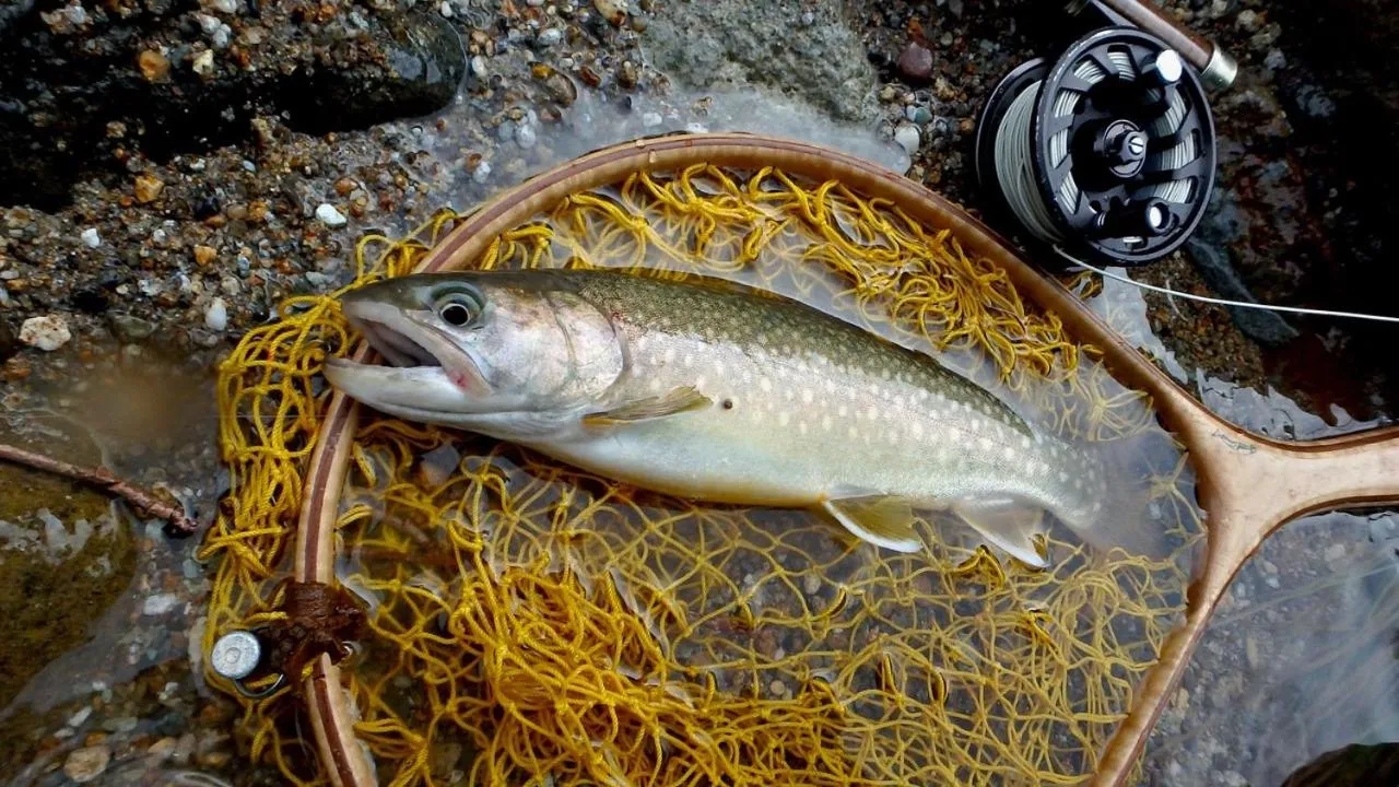 Oirase Guest house KEGETSU