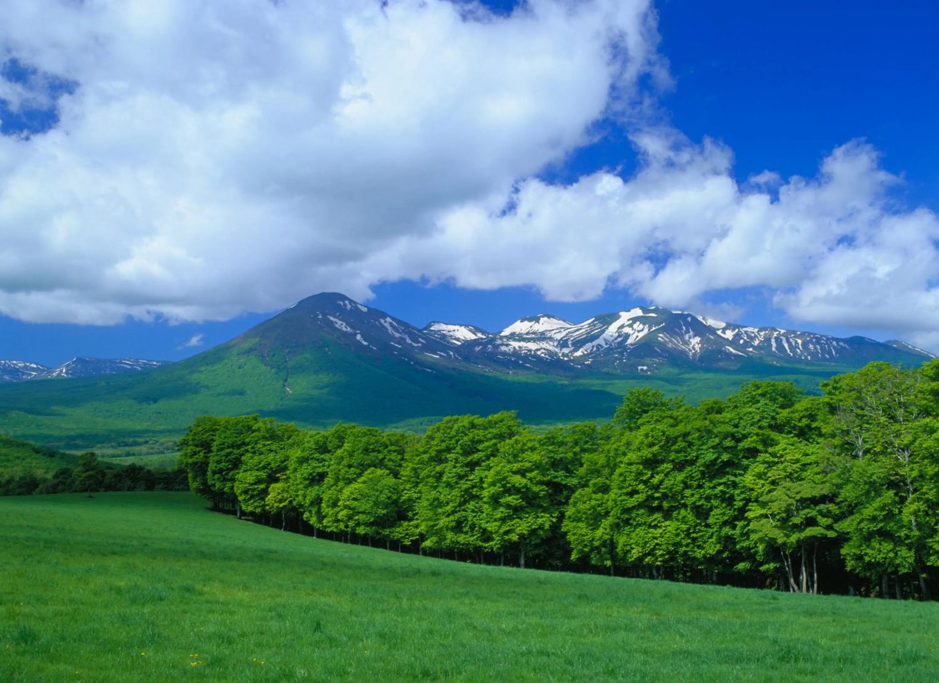 Off site in Oirase Guest house KEGETSU