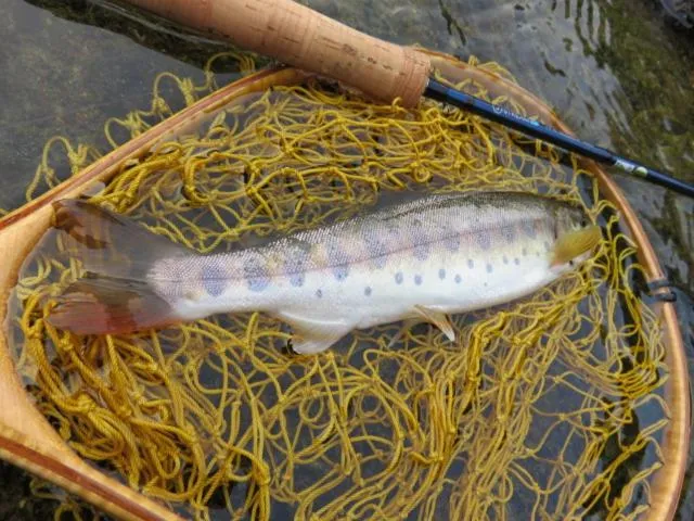 Off site in Oirase Guest house KEGETSU