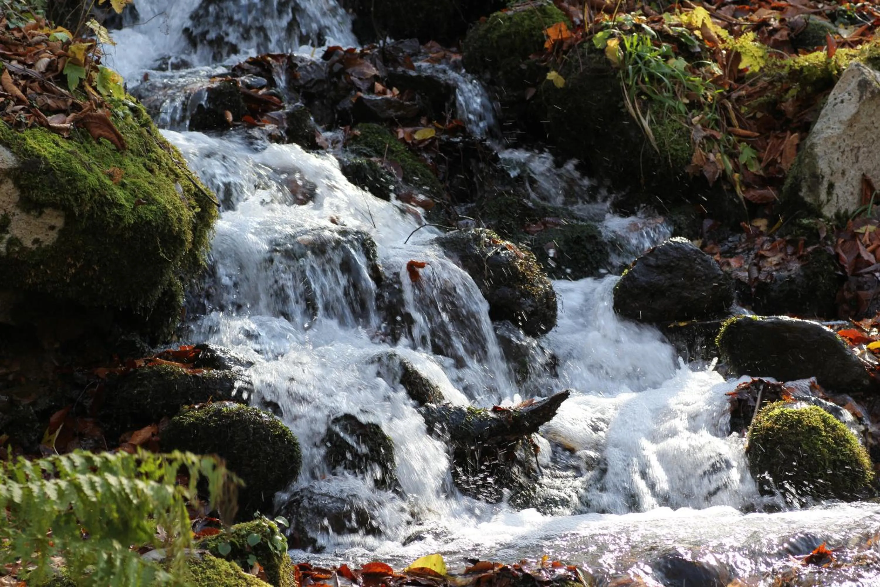 Seasons in Oirase Guest house KEGETSU