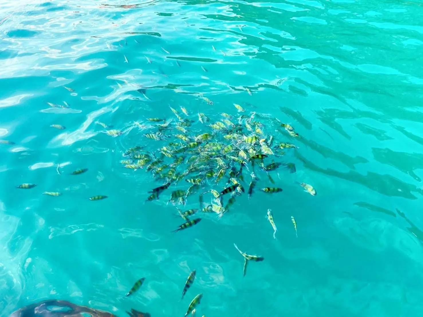 Day in Palm Kiri Aonang Resort