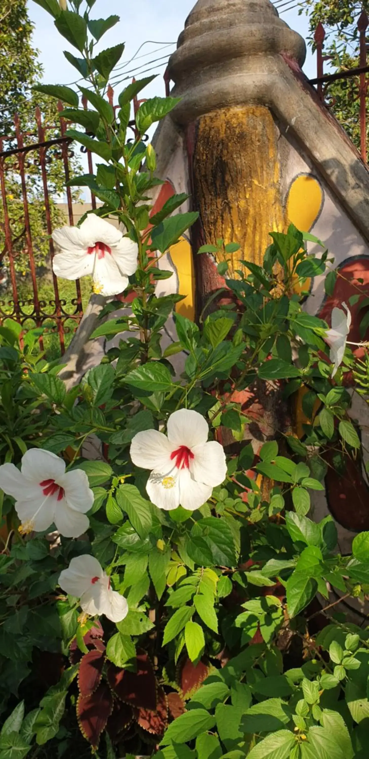 Standard Double or Twin Room with Balcony in Alona's Traditional Filipino Home near 100 Islands Wharf Standard Double or Twin Room with Balcony in Alona's Traditional Filipino Home near 100 Islands Wharf