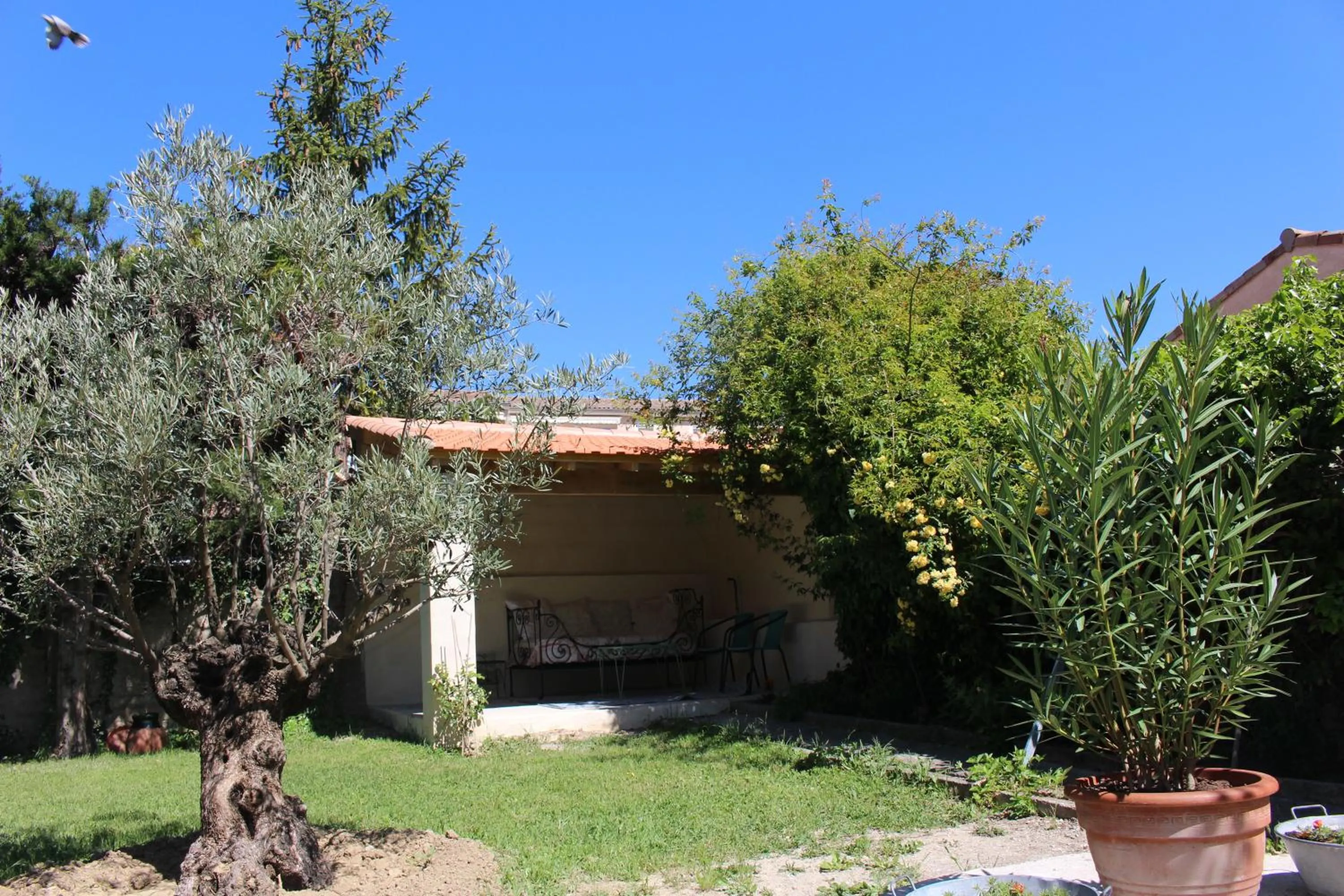 Garden in B&B Villa Regina