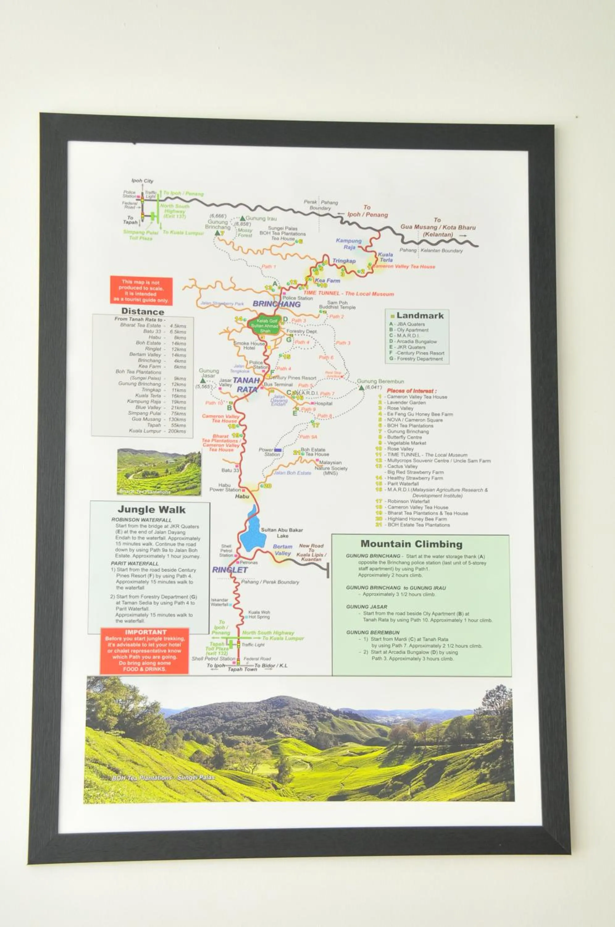 Other in Hotel Double Stars Cameron Highlands