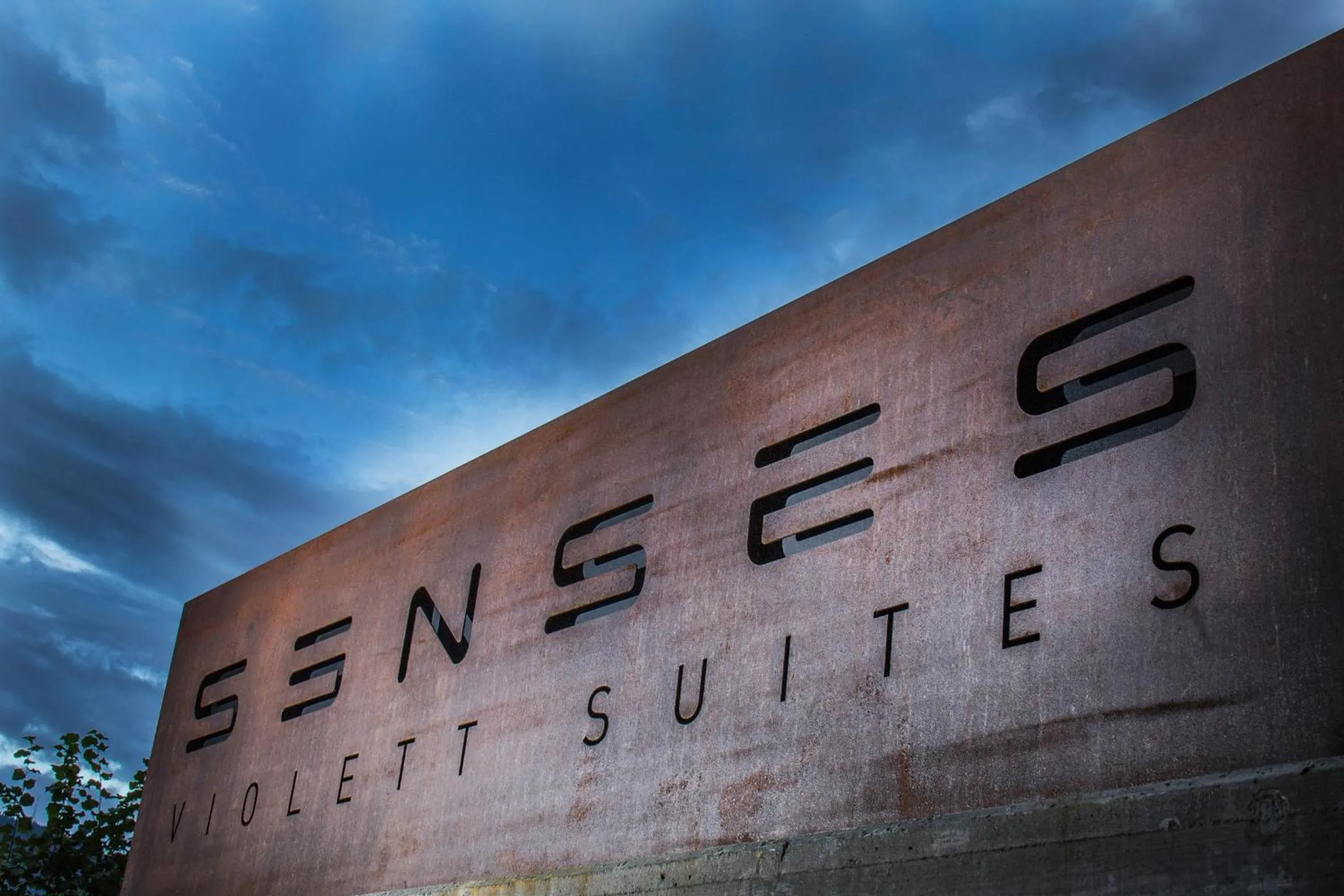 Decorative detail in Senses Violett Suites - Adults Only