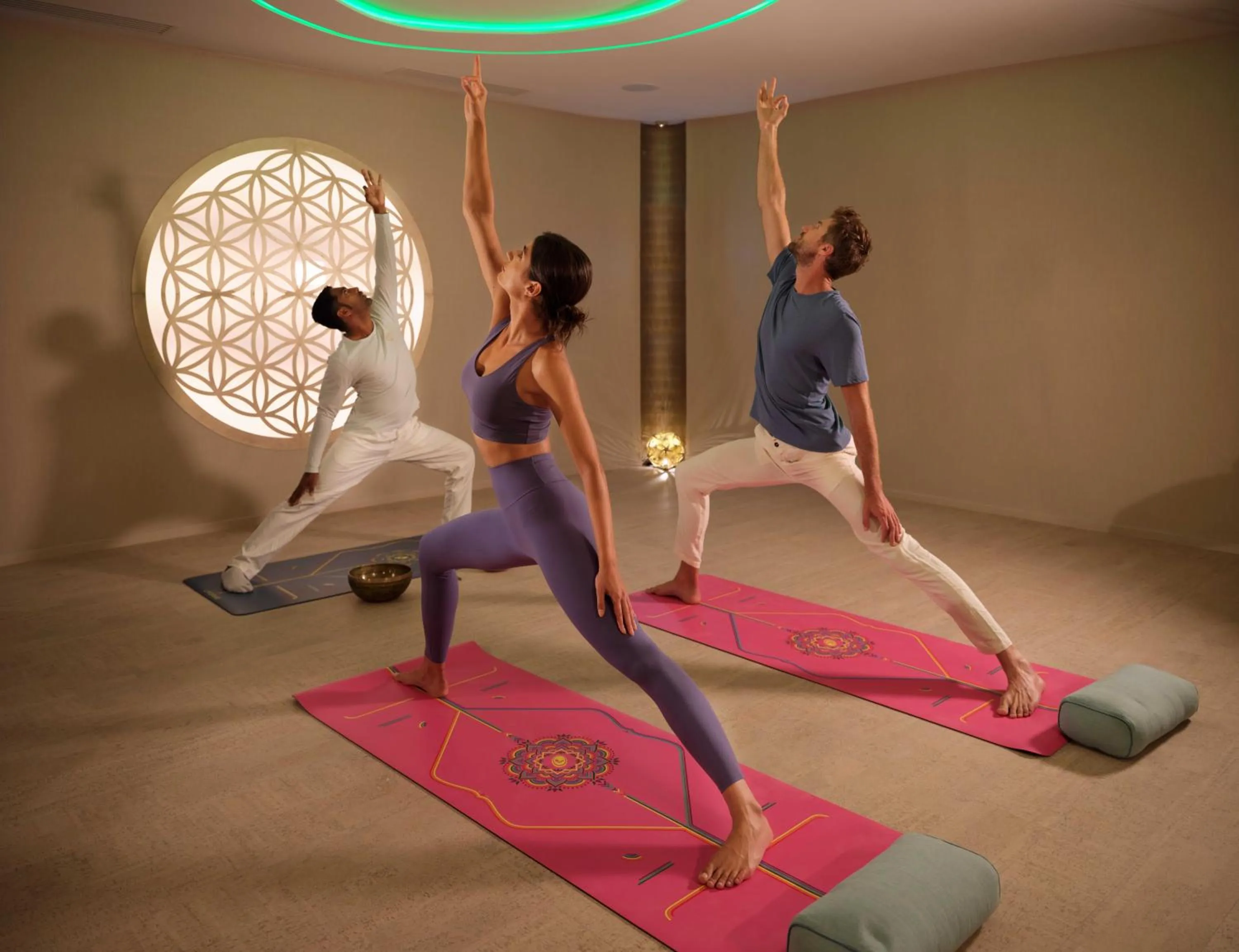 Spa and wellness centre/facilities in Casa Timiș - Wellness & Spa Resort