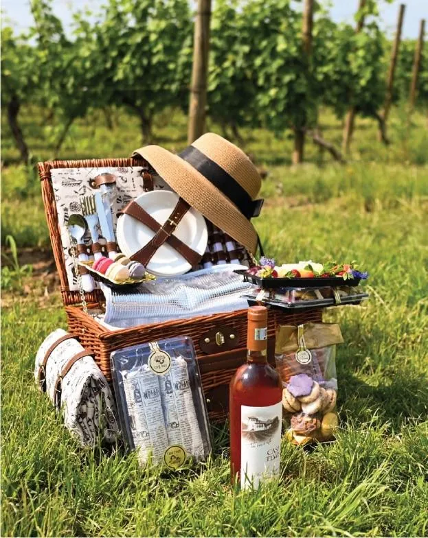 Activities in Casa Timiș - Wellness & Spa Resort