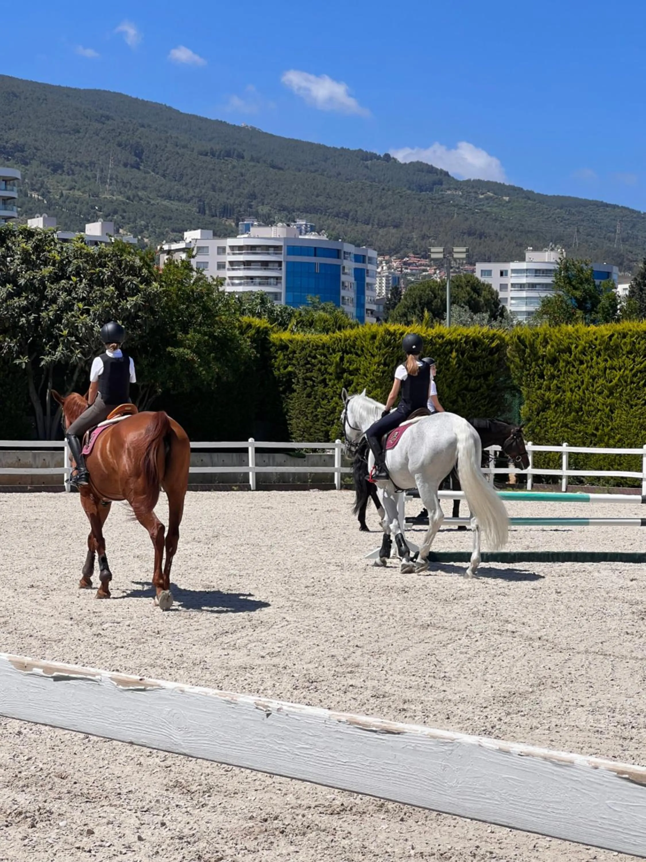 Horse-riding in B. Equine Range Hotel