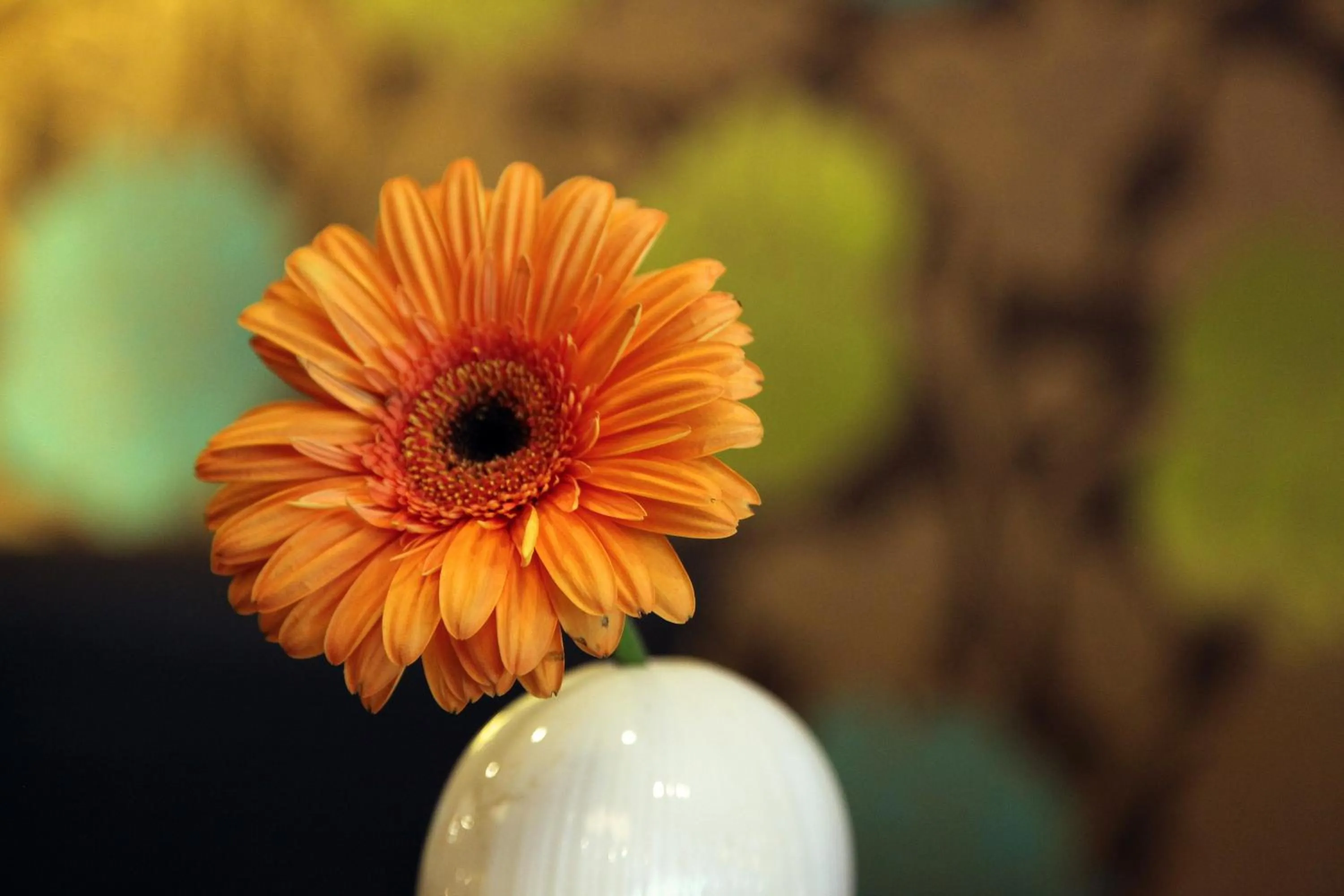 People in Hotel Cajou