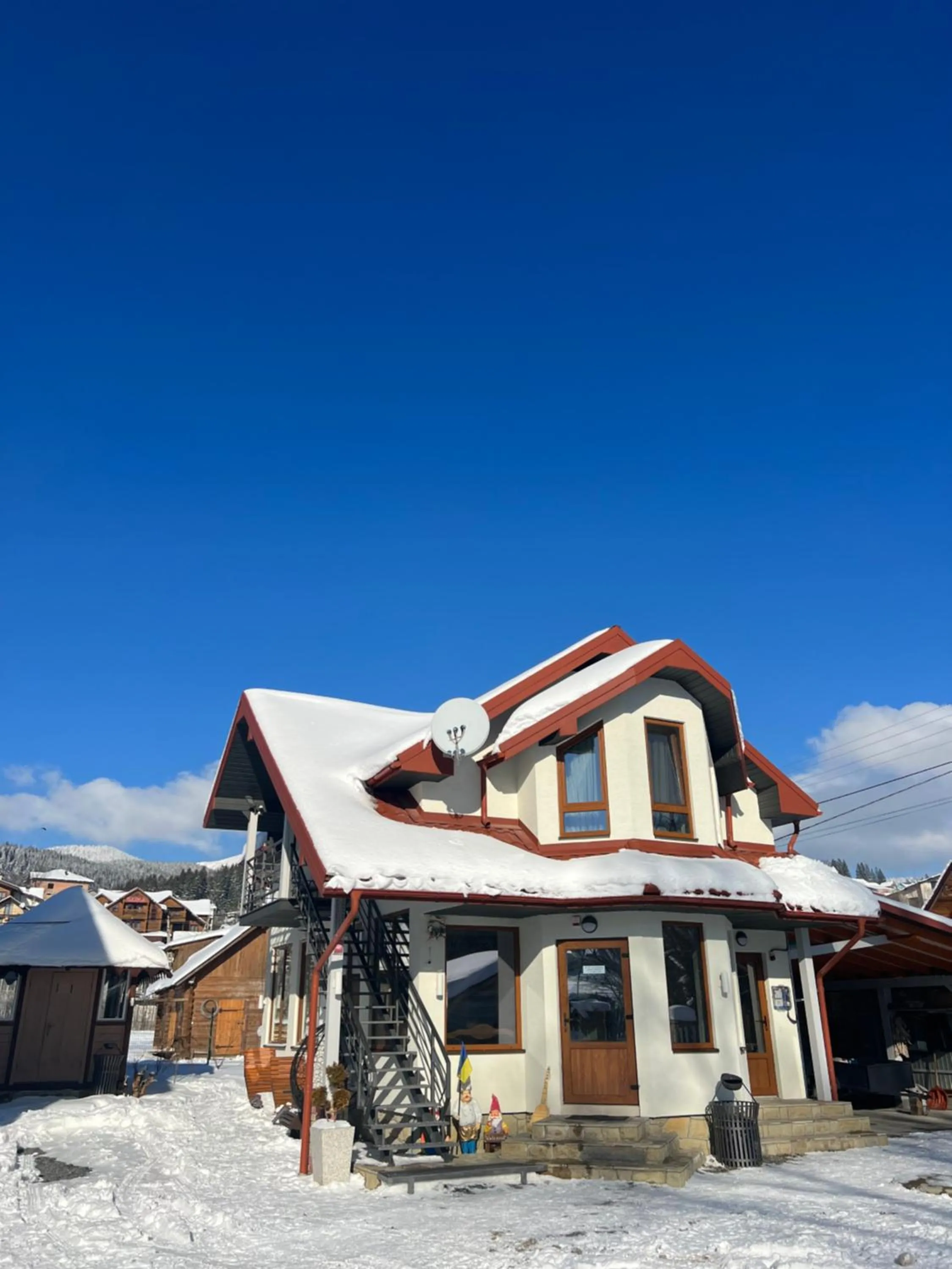 Property building in Zatyshok nad Prutom