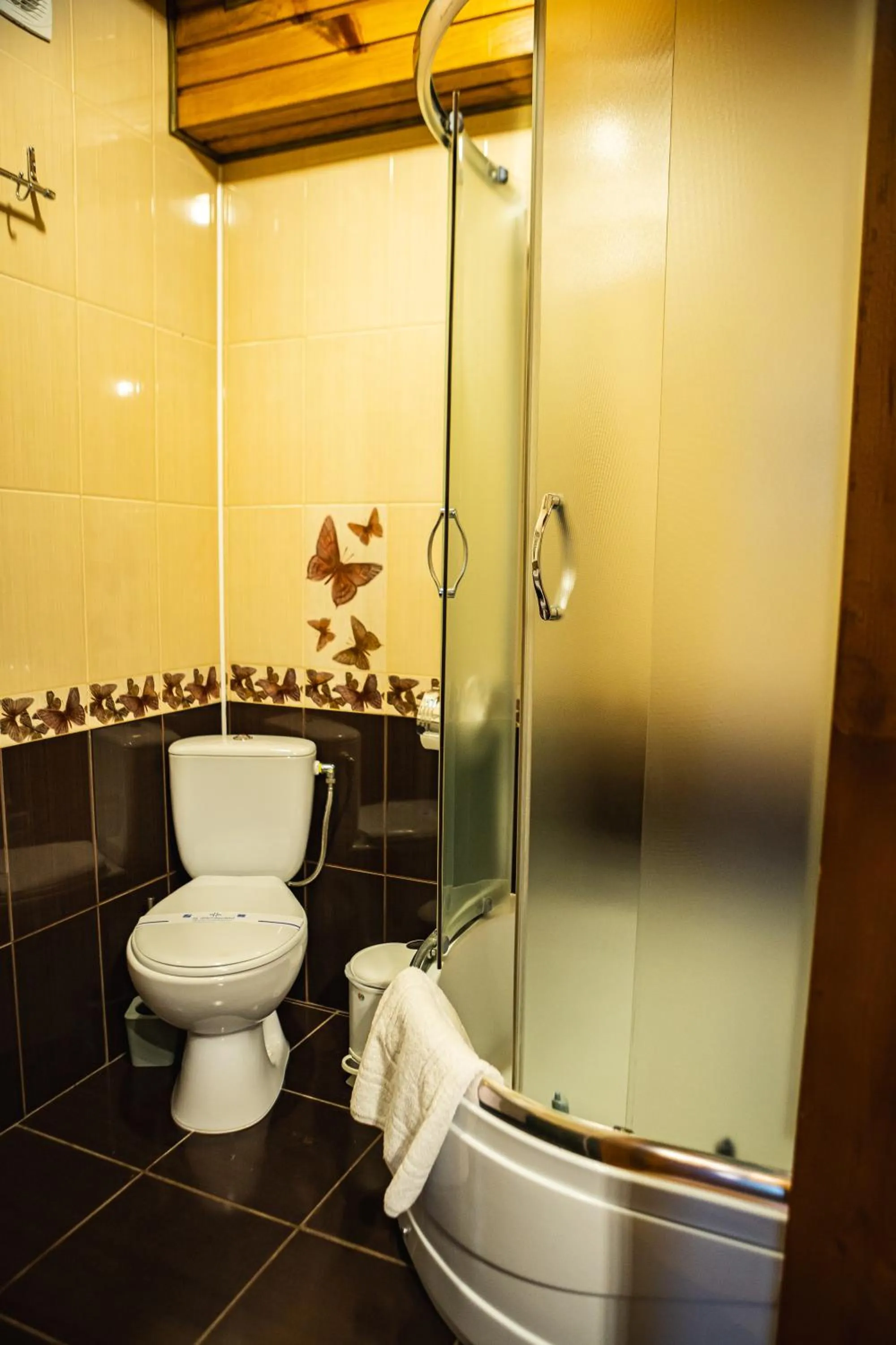 Shower in Zatyshok nad Prutom