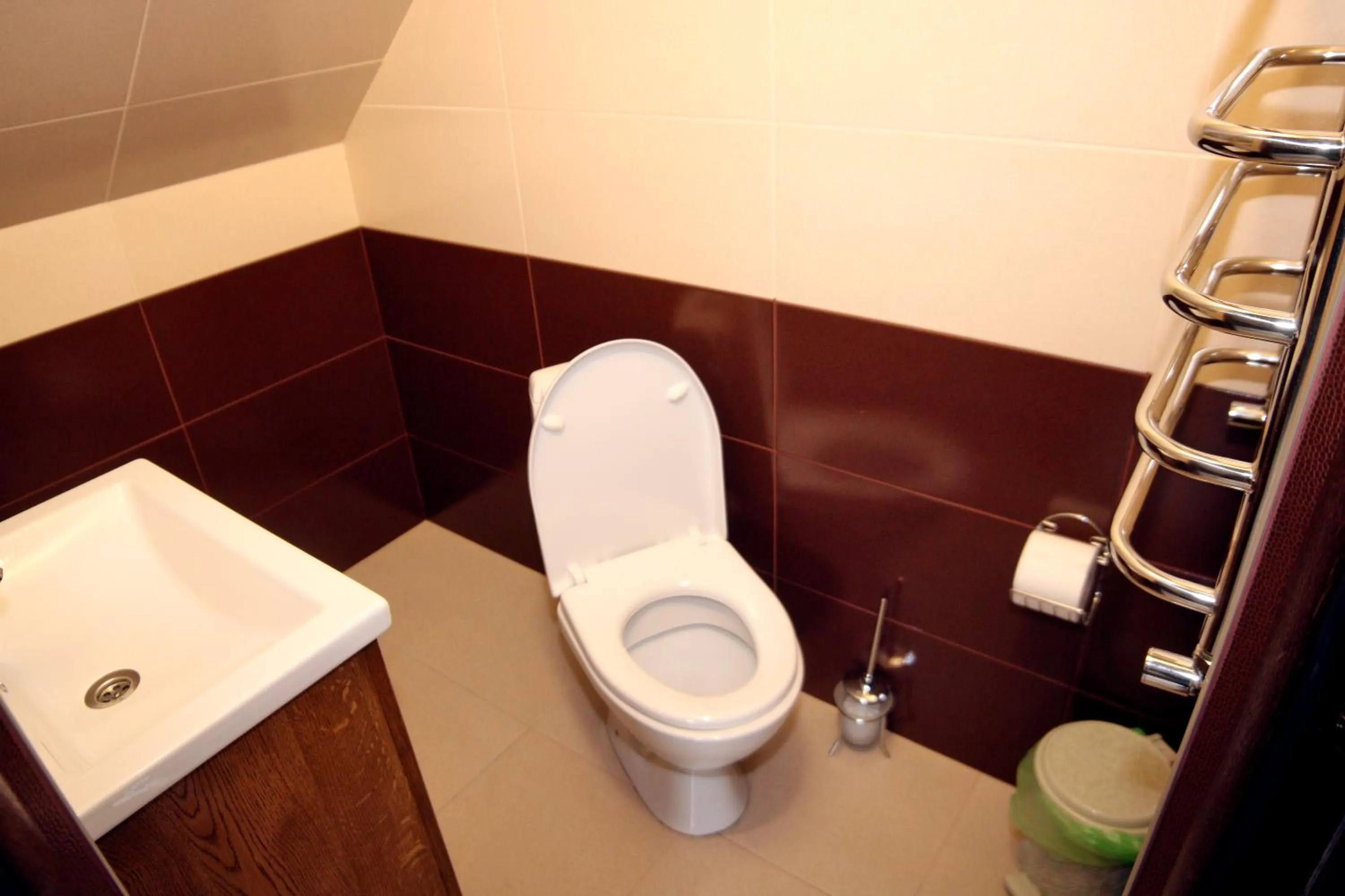 Bathroom in Zatyshok nad Prutom