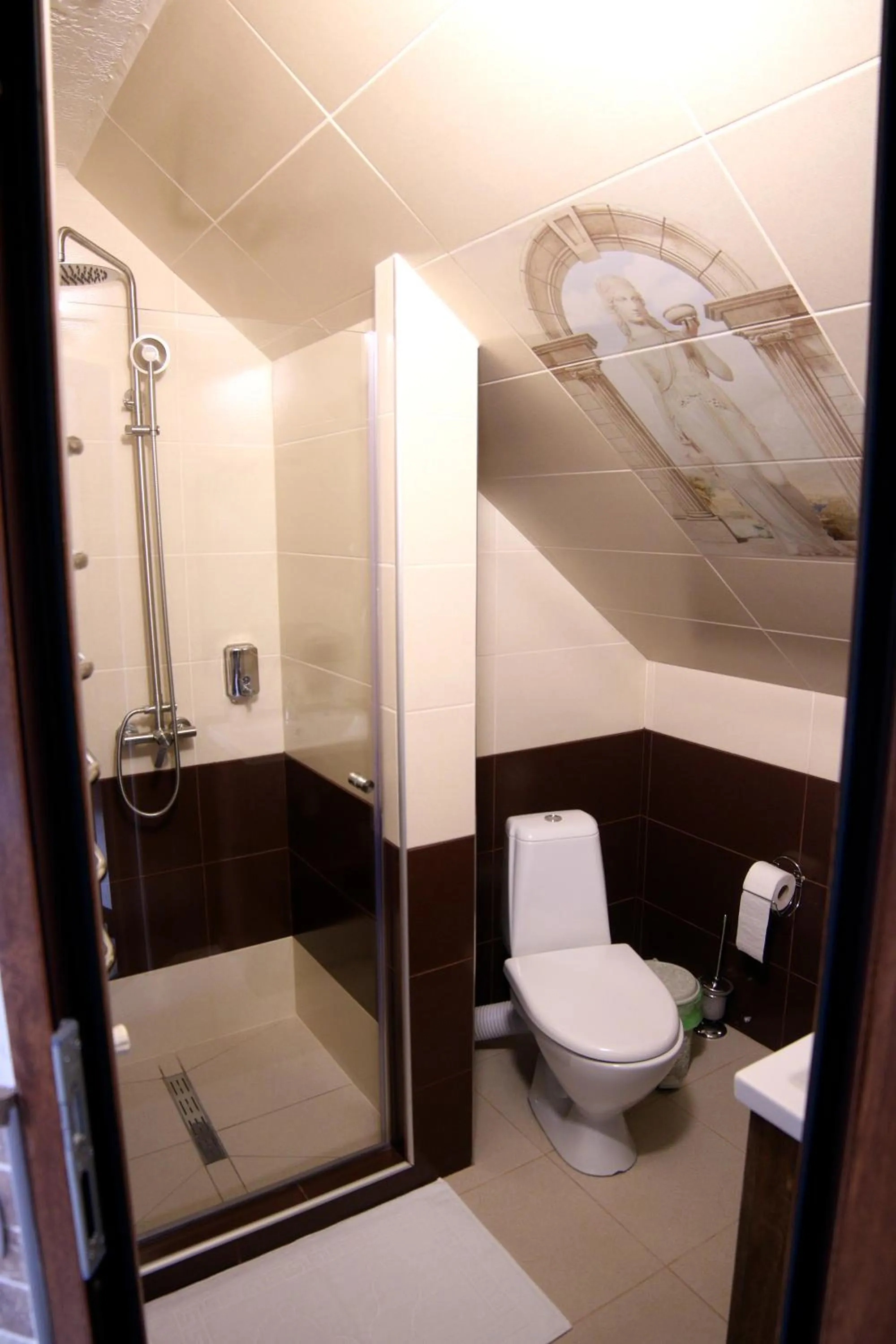 Bathroom in Zatyshok nad Prutom