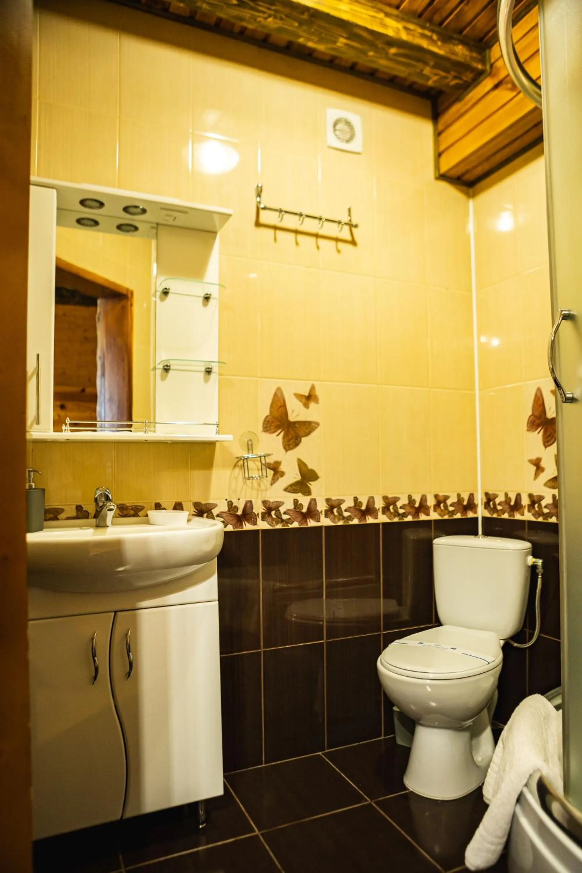 Shower in Zatyshok nad Prutom