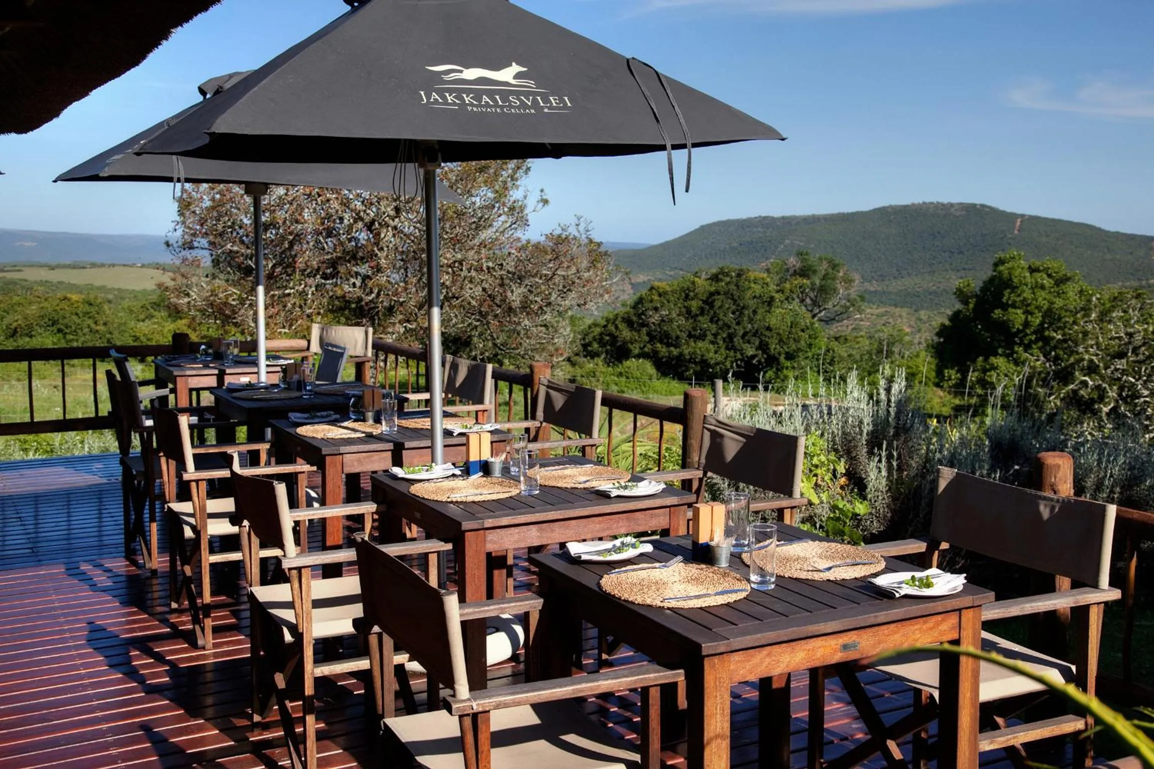 Restaurant/places to eat in Addo Elephant Safari Lodge - Bellevue Forest Reserve