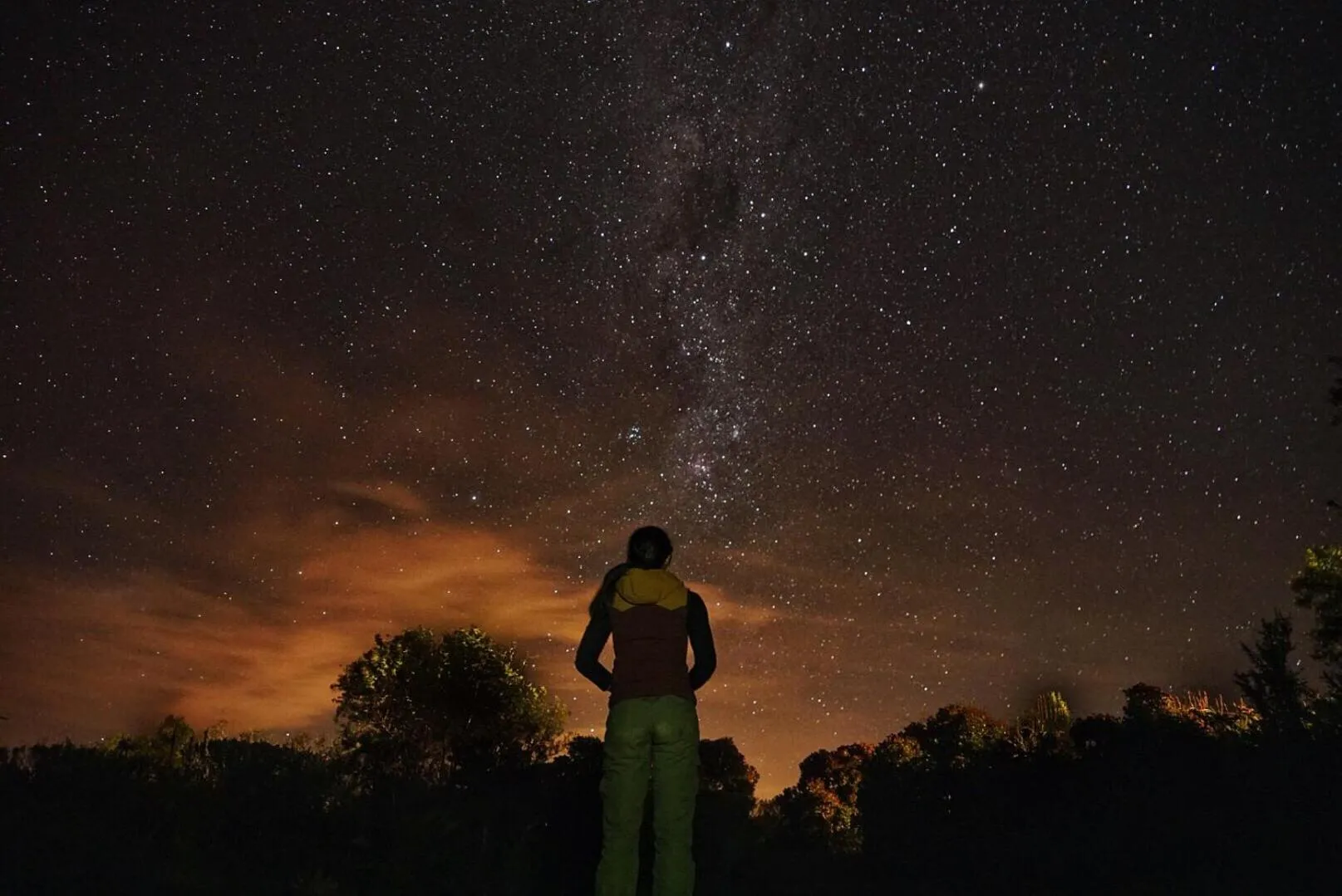 Property building in Addo Elephant Safari Lodge - Bellevue Forest Reserve