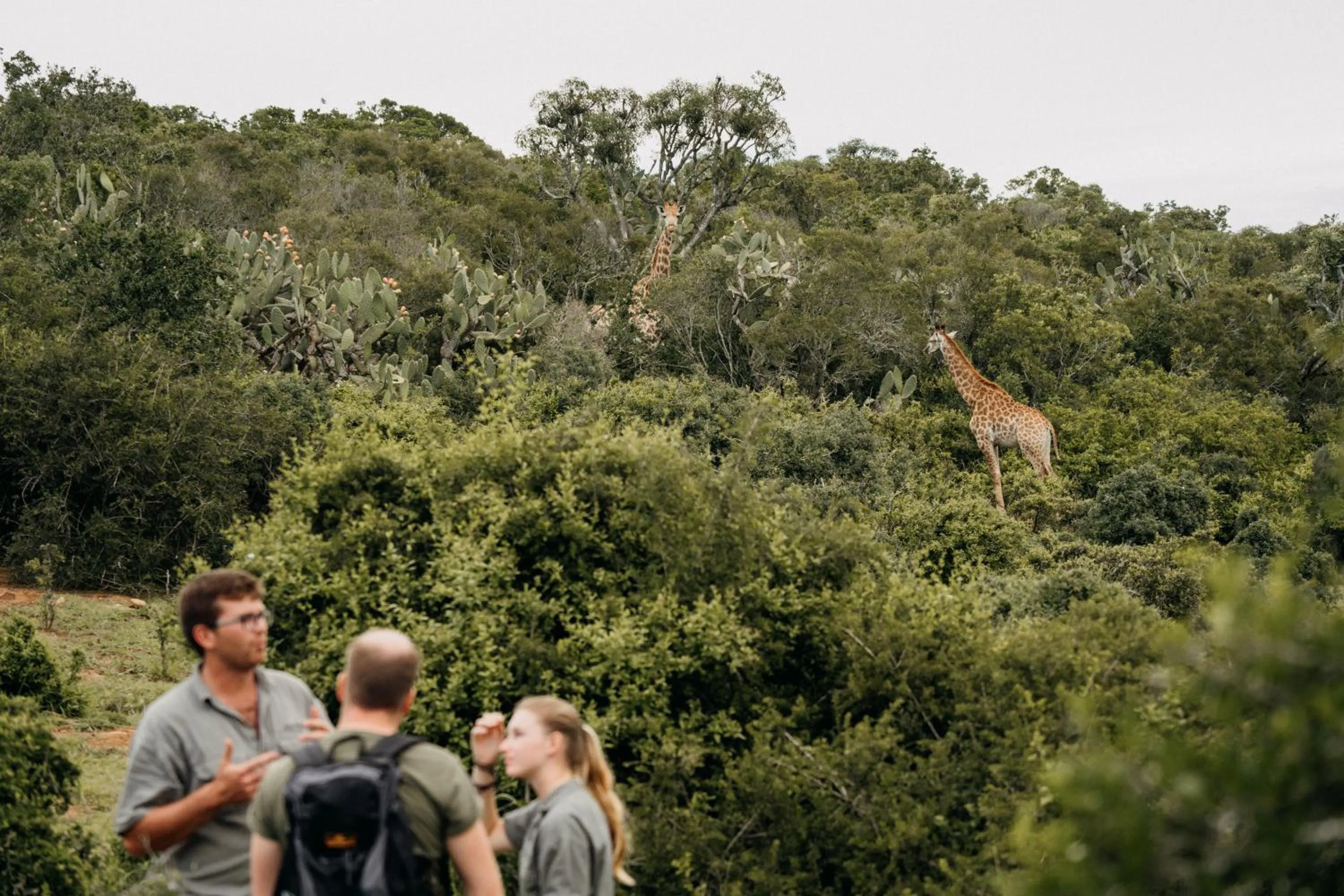 People in Addo Elephant Safari Lodge - Bellevue Forest Reserve