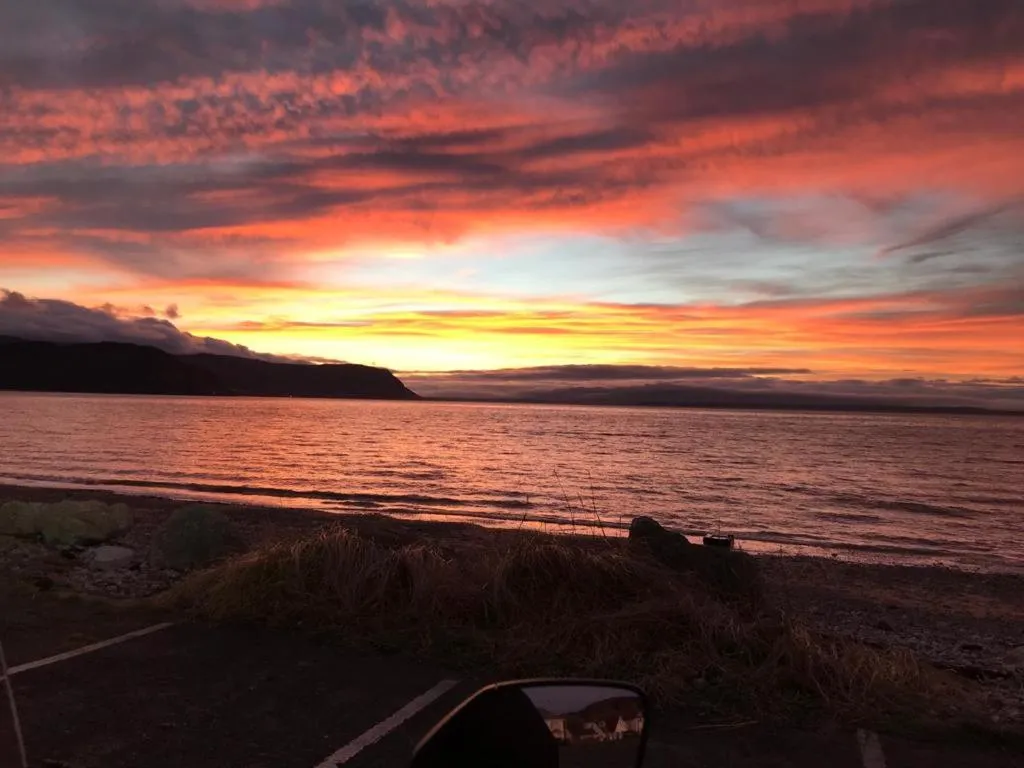 Natural landscape in Merrion Hotel