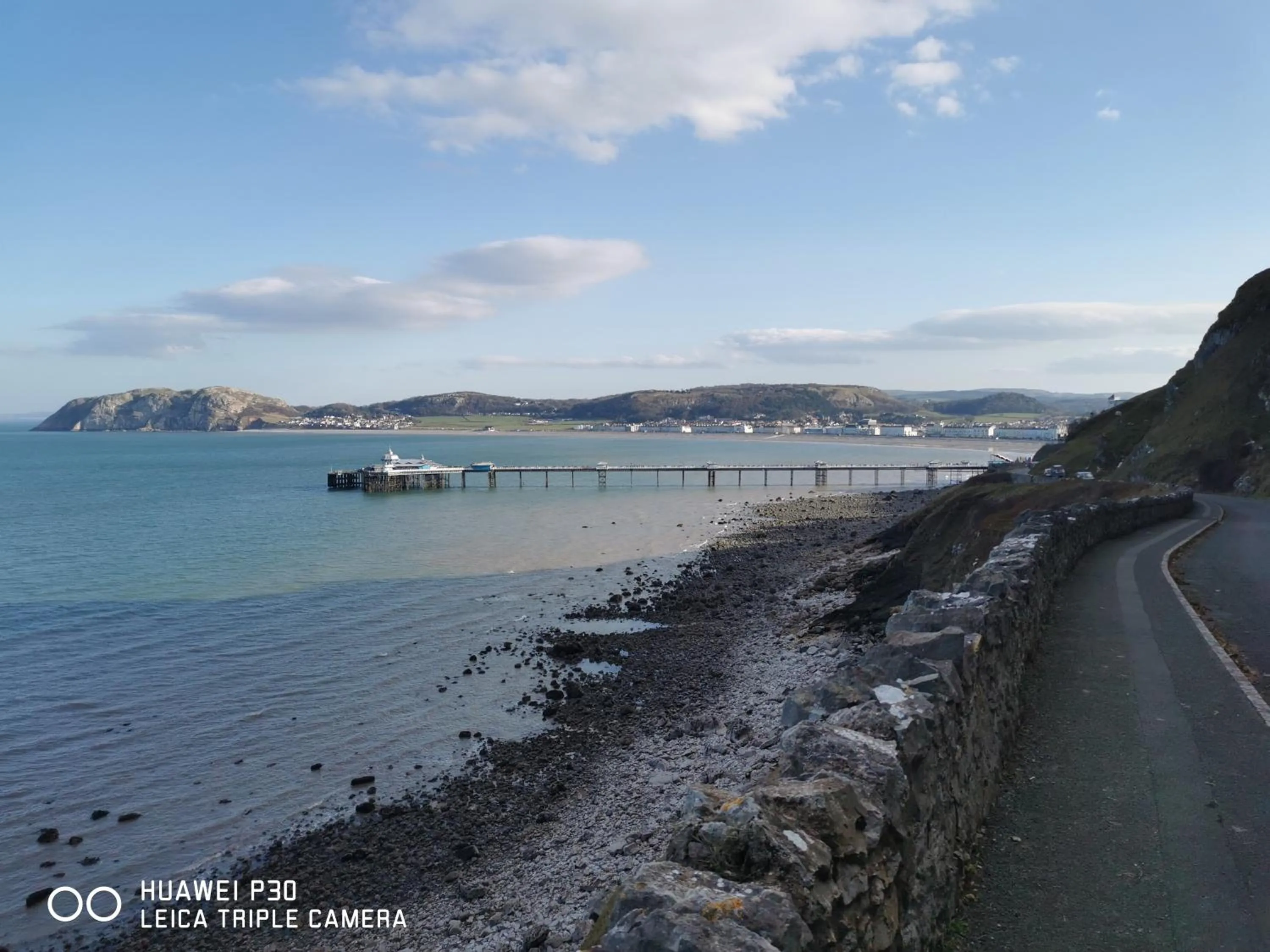 Natural landscape in Merrion Hotel