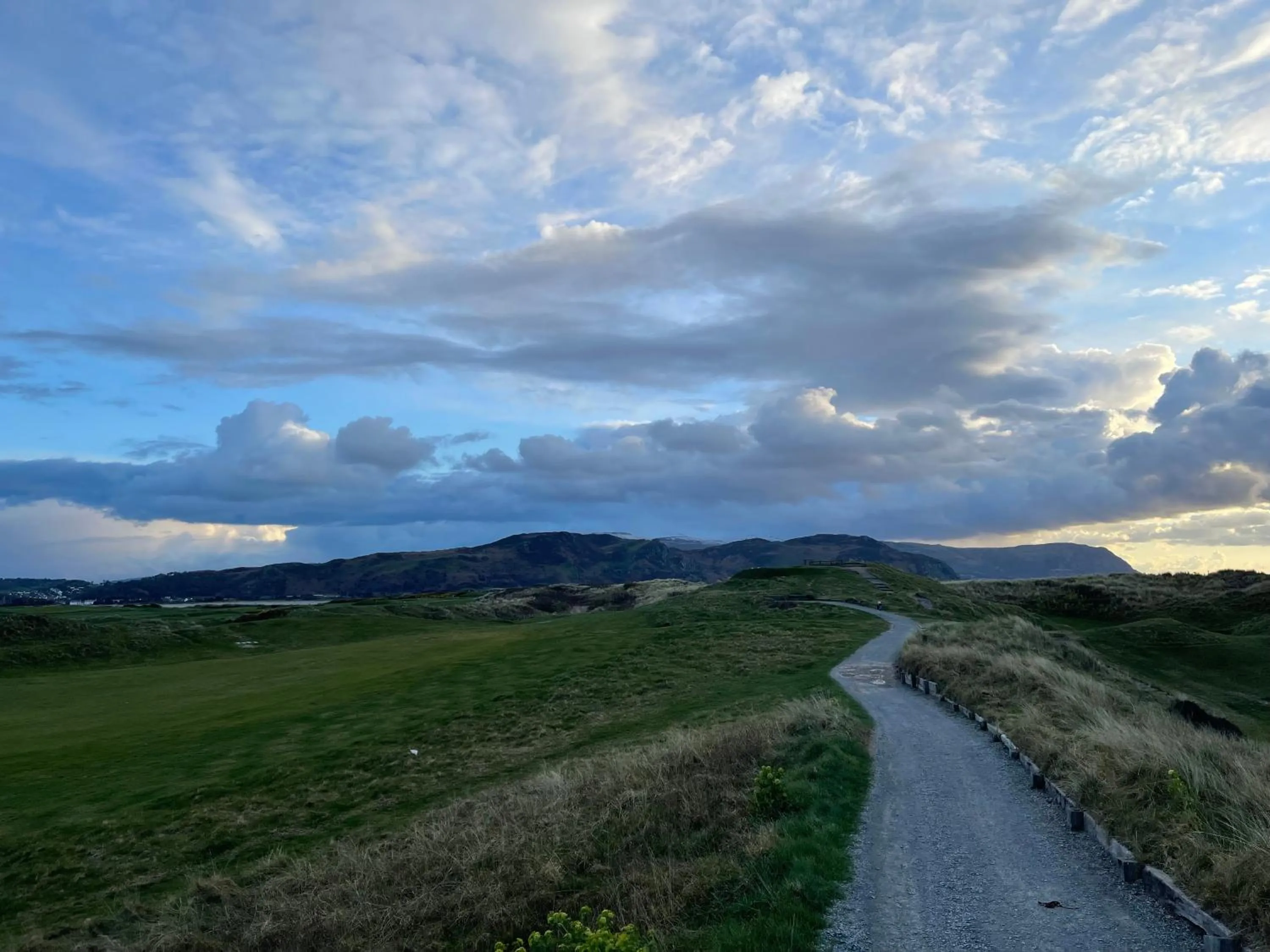 Natural landscape in Merrion Hotel