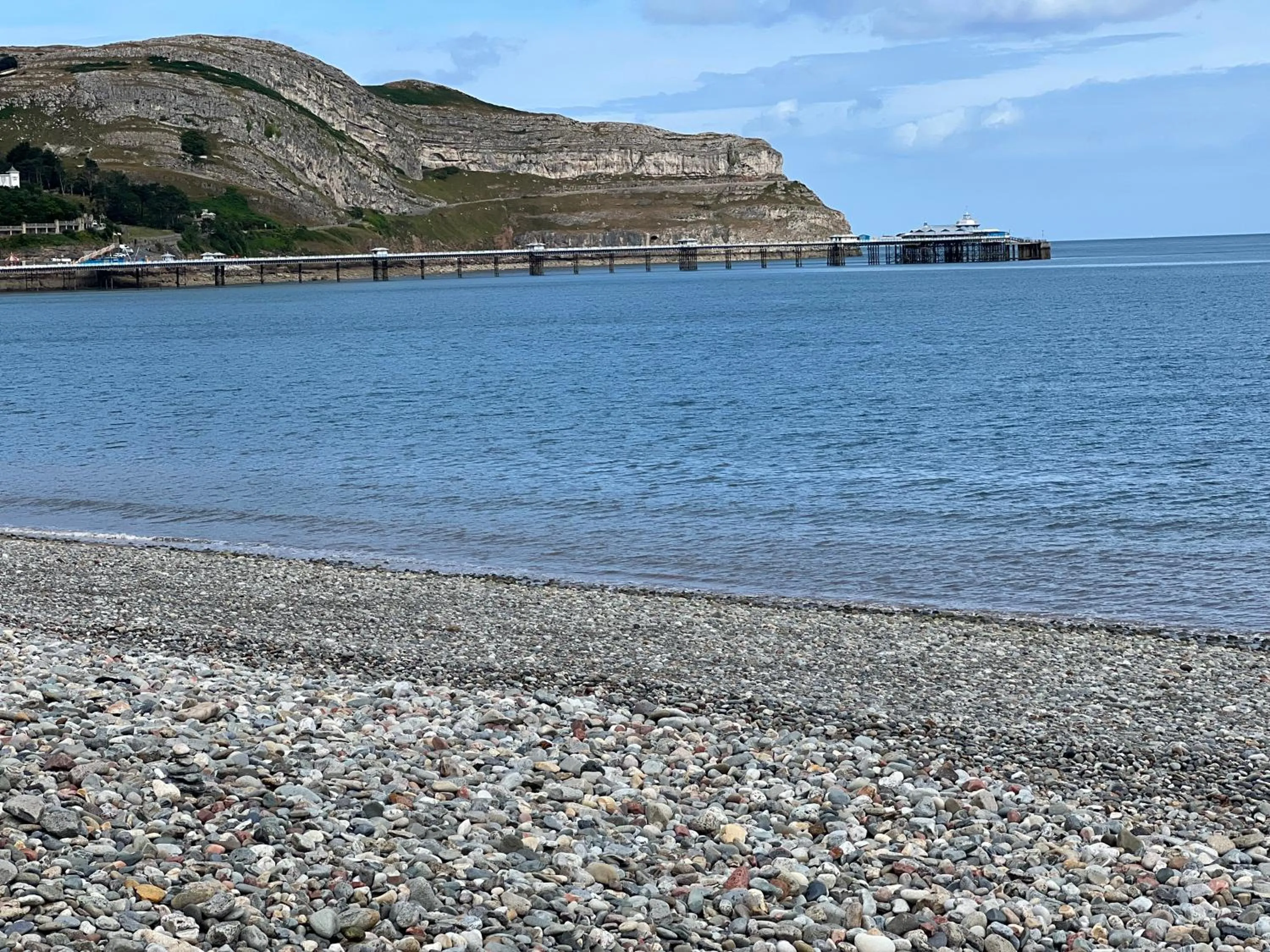 Natural landscape in Merrion Hotel