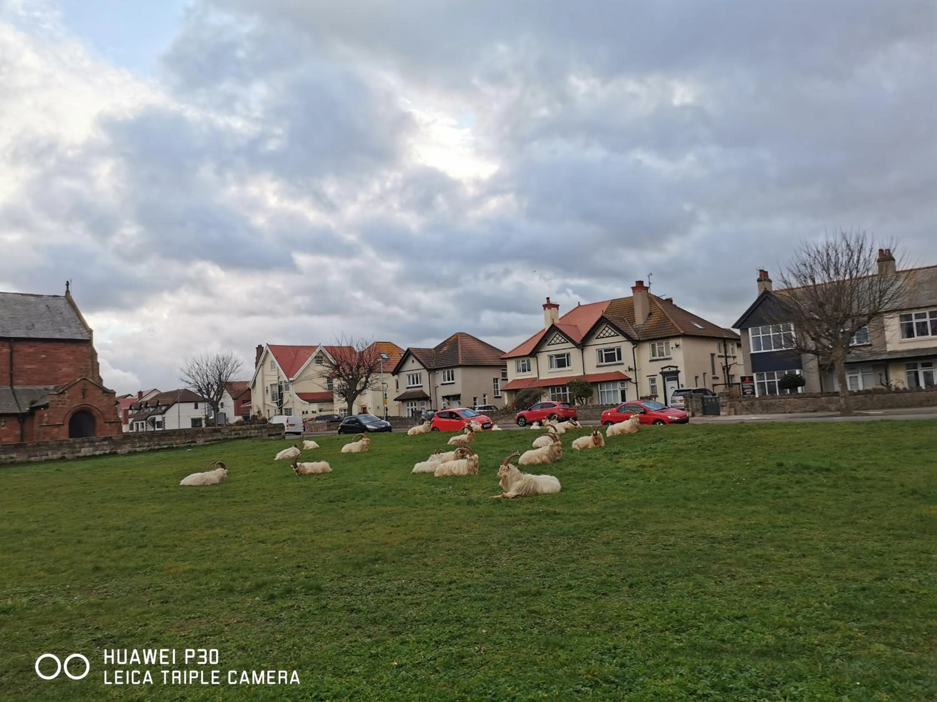Neighbourhood in Merrion Hotel
