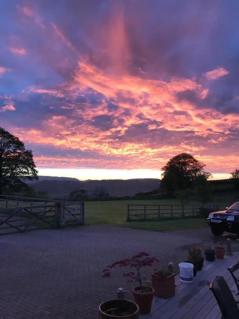 Natural landscape in Merrion Hotel