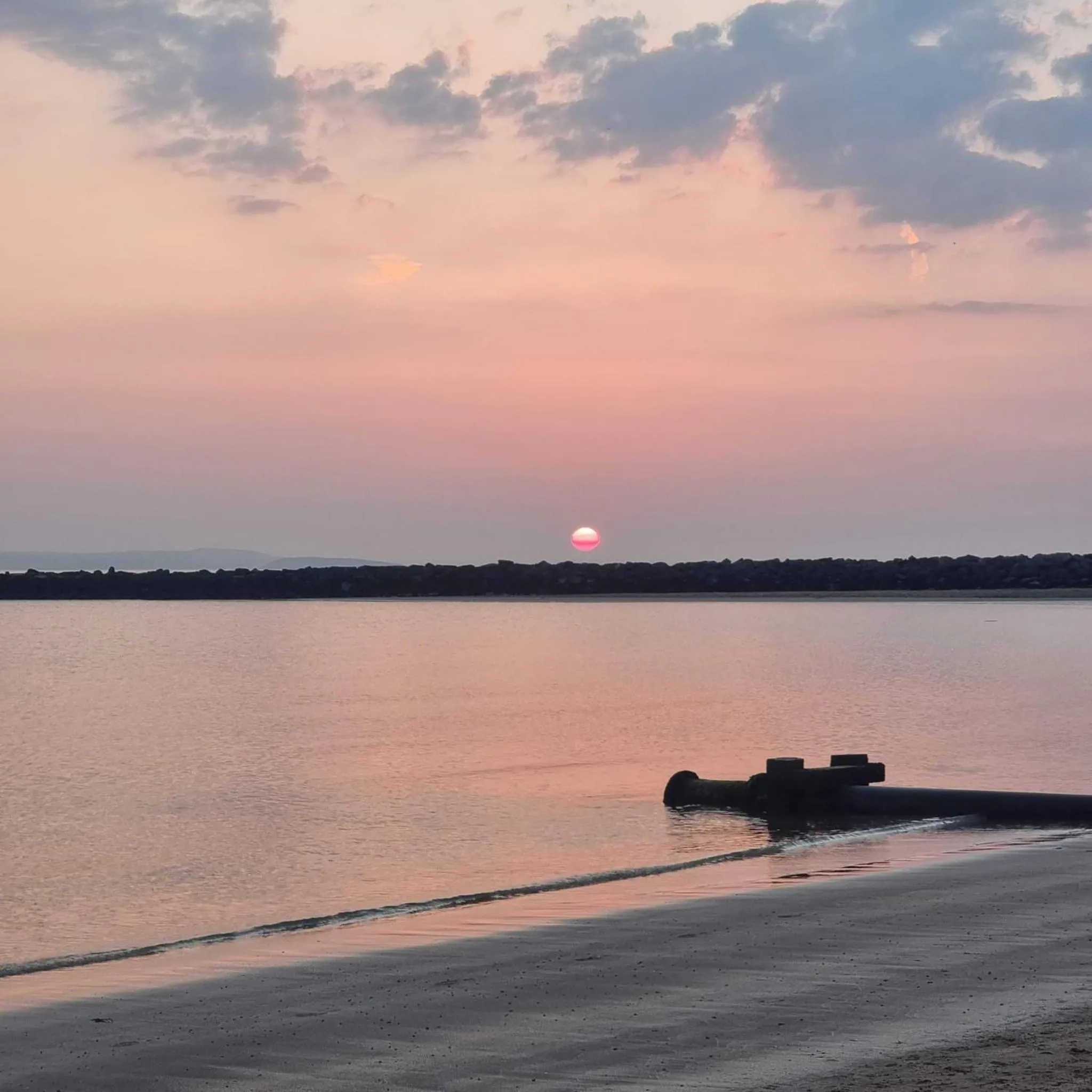 Natural landscape in Merrion Hotel