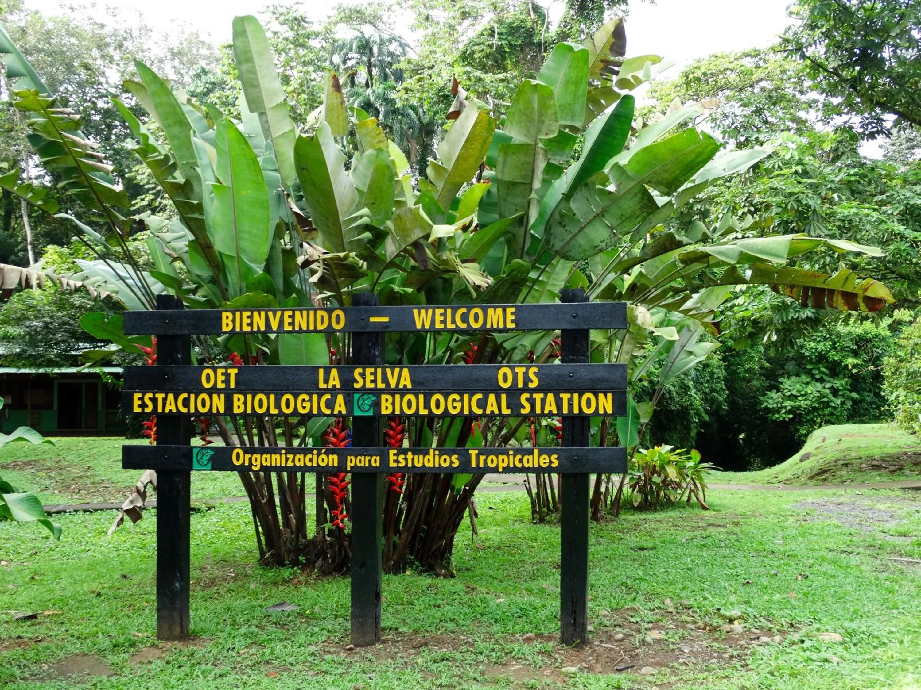 Logo/Certificate/Sign in La Selva Biological Station