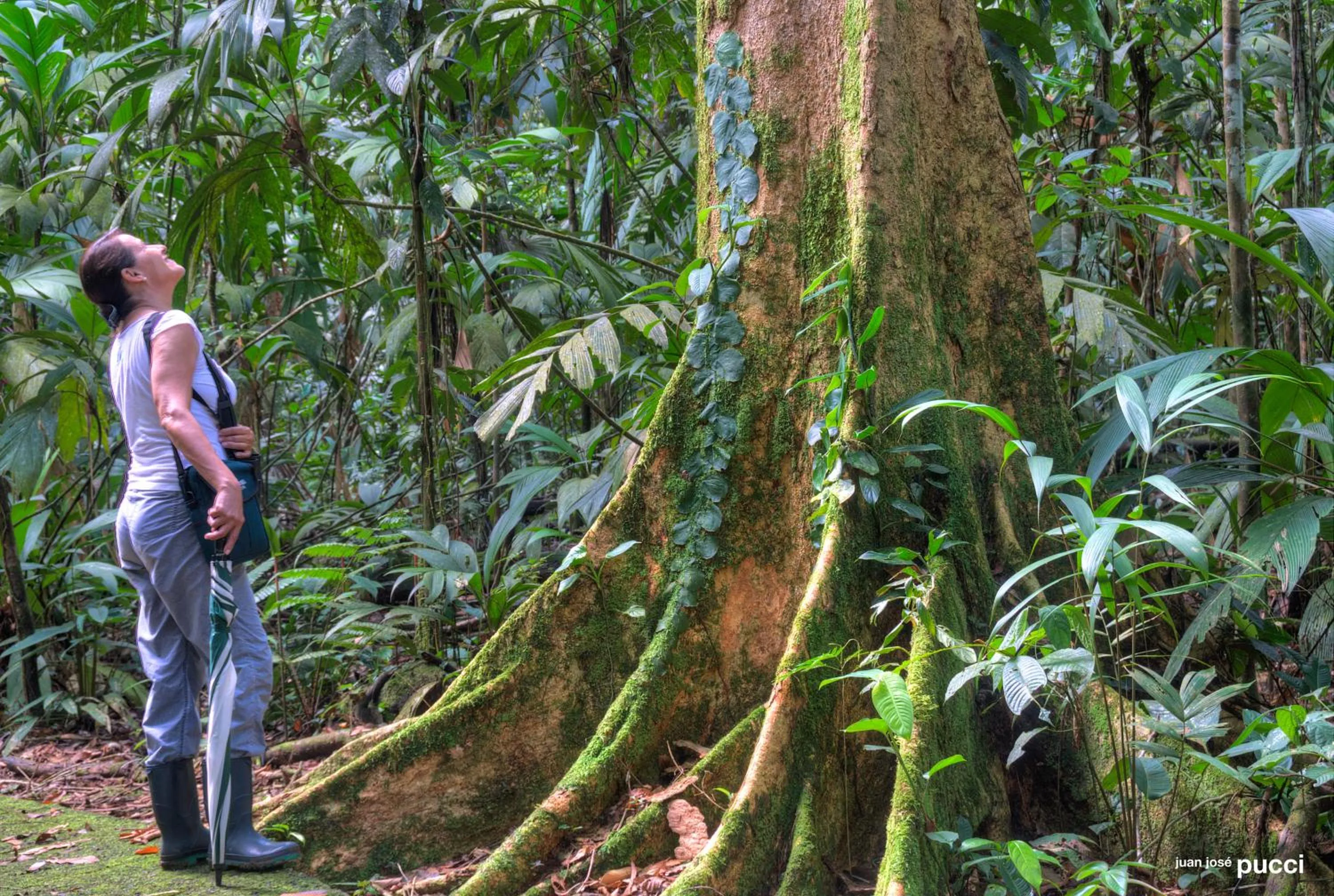 People in La Selva Biological Station