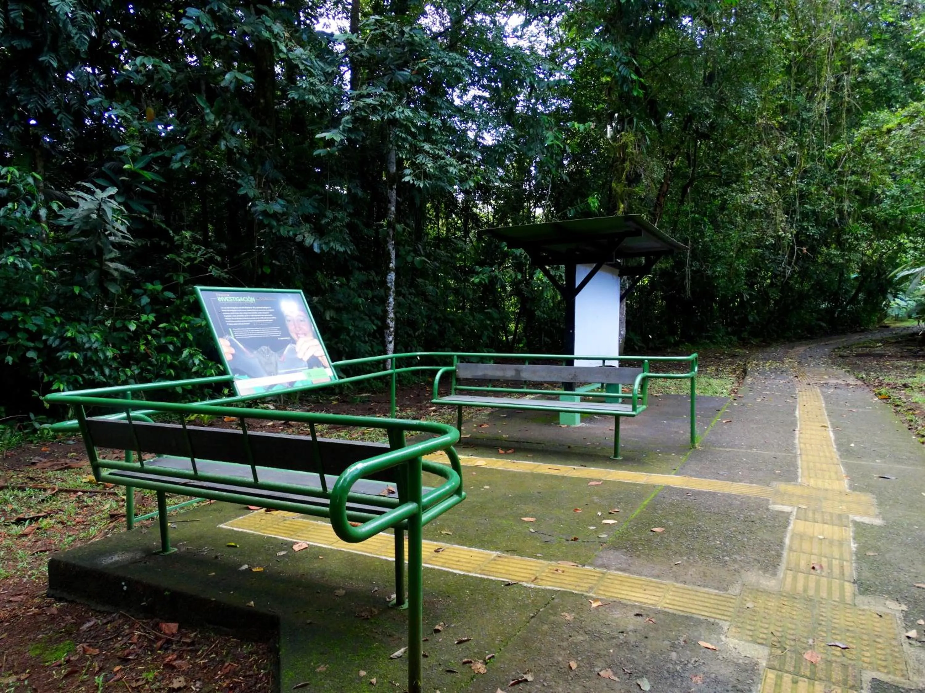 Hiking in La Selva Biological Station