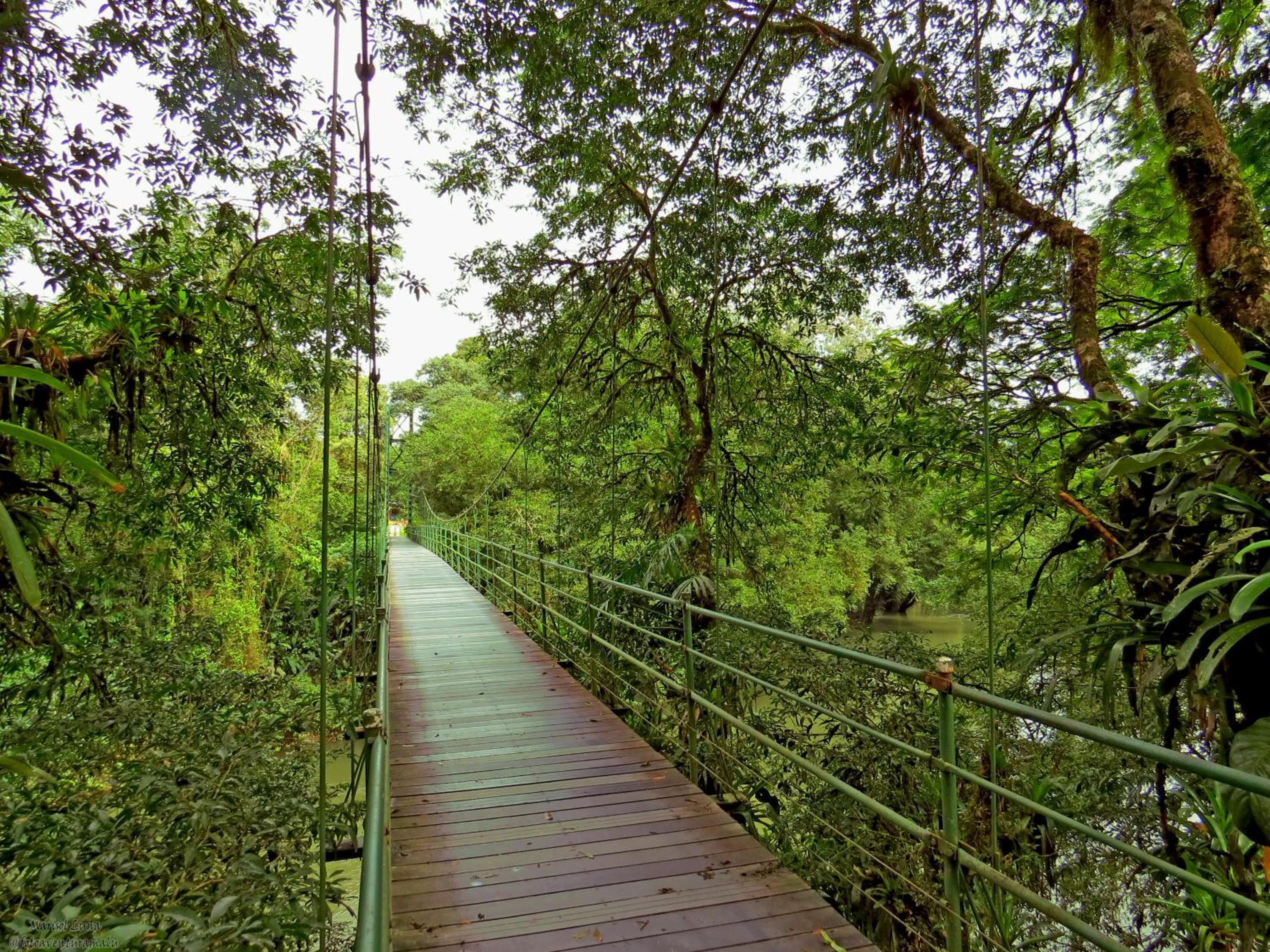 Natural landscape in La Selva Biological Station